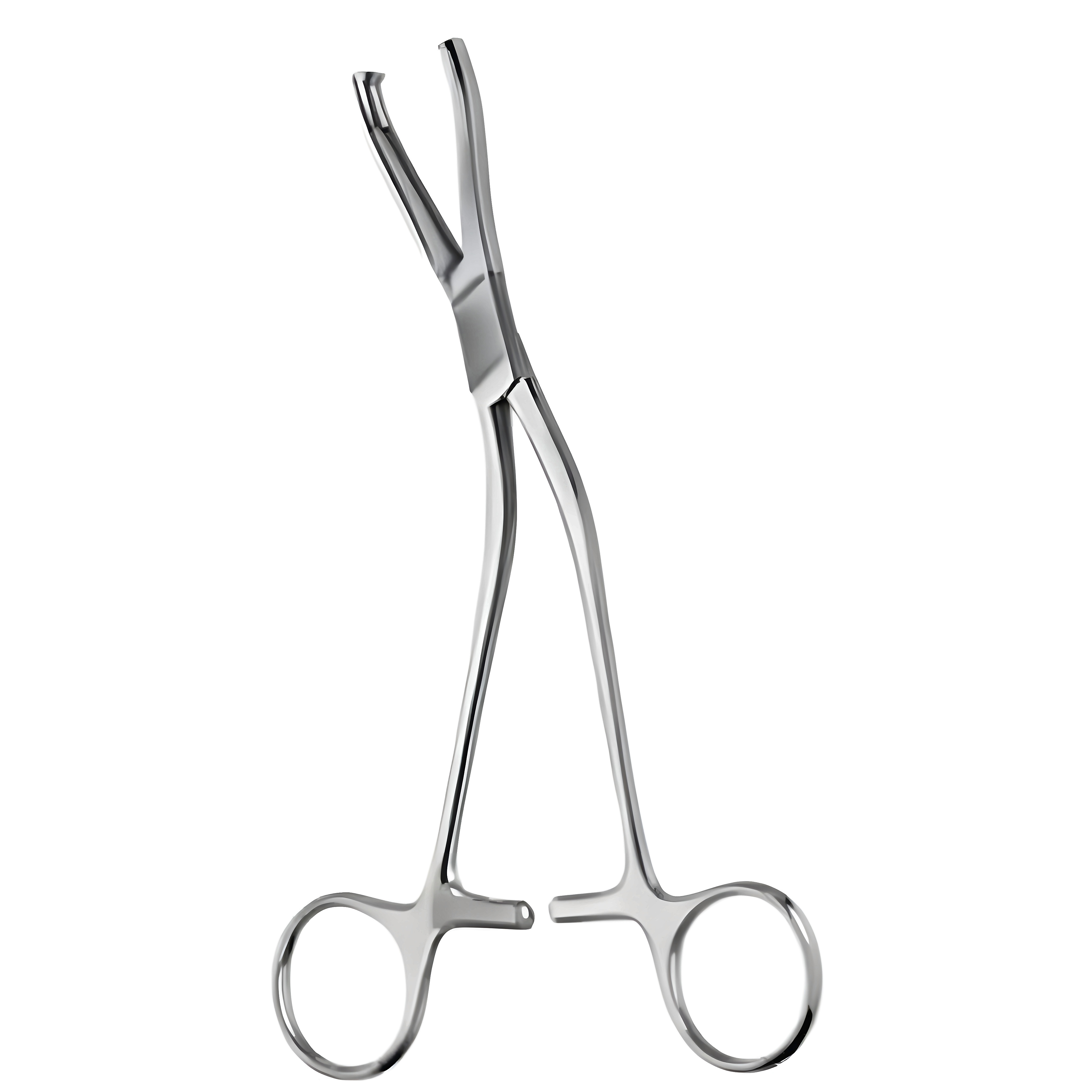 Dingmann Bone Holding Fcps modified 19cm