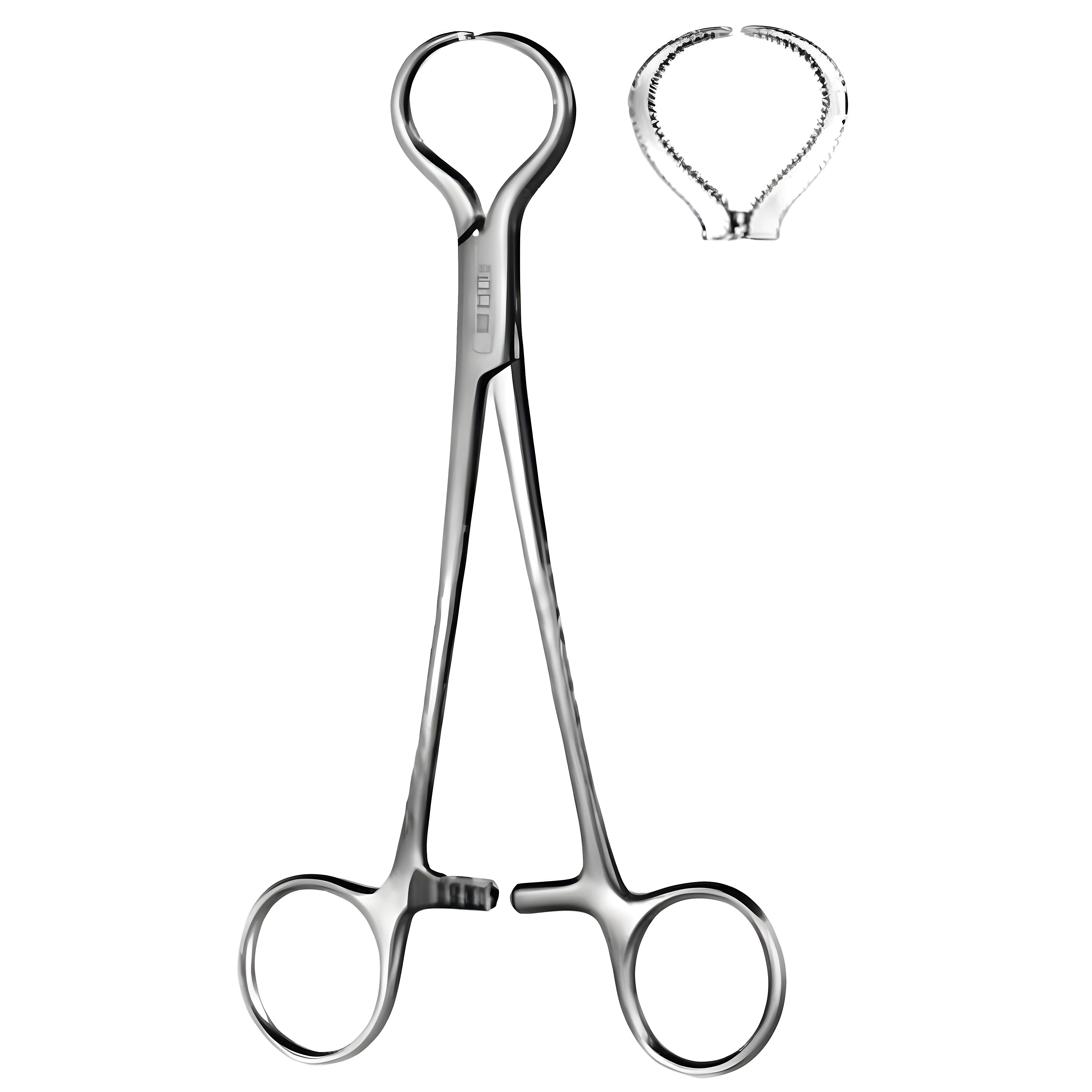 Lewin Bone Holding Fcps 17.5cm