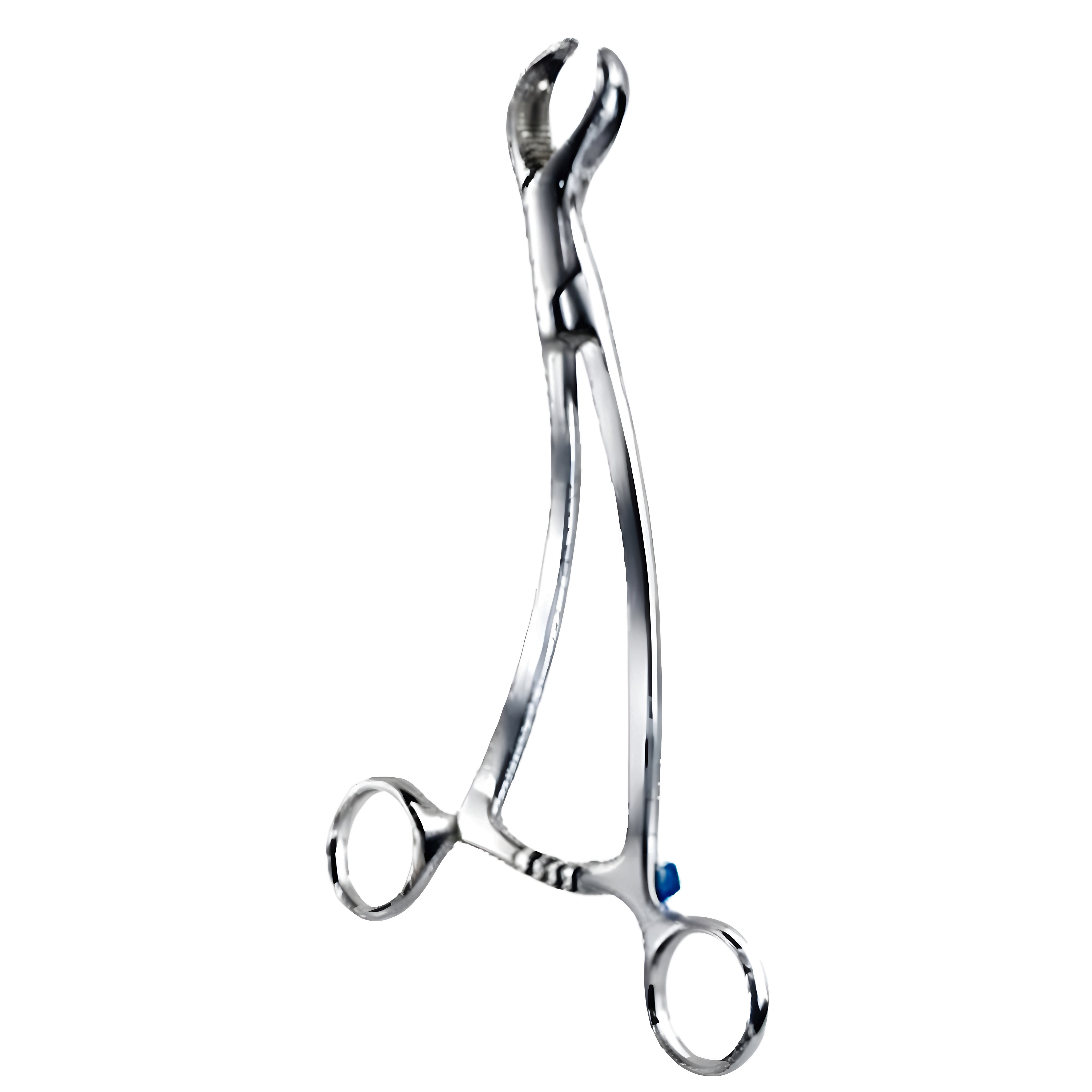 Burns Bone Holding Fcps 18.5cm
