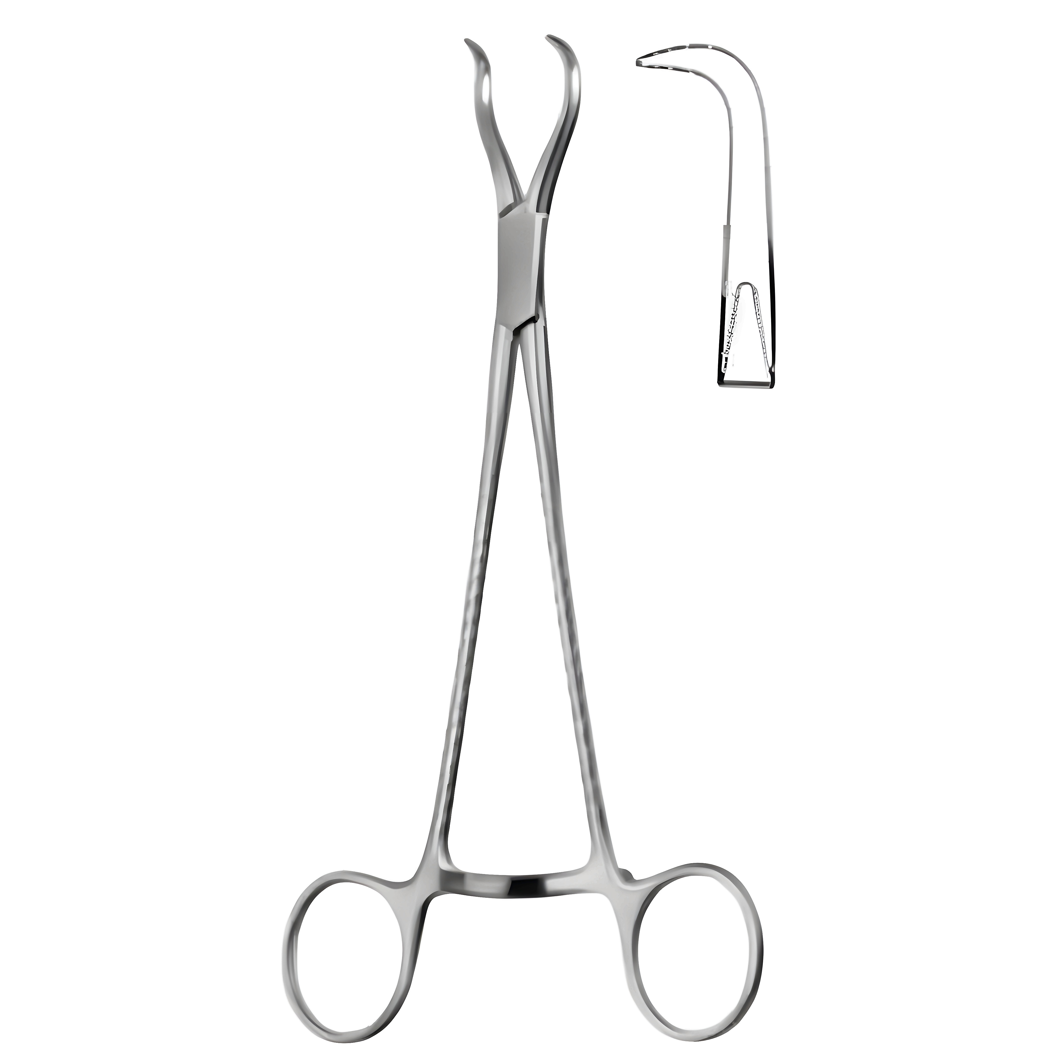 Haase Bone Holding Fcps 16.5cm