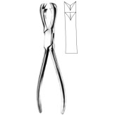 Fergusson Bone Holding Fcps 21cm