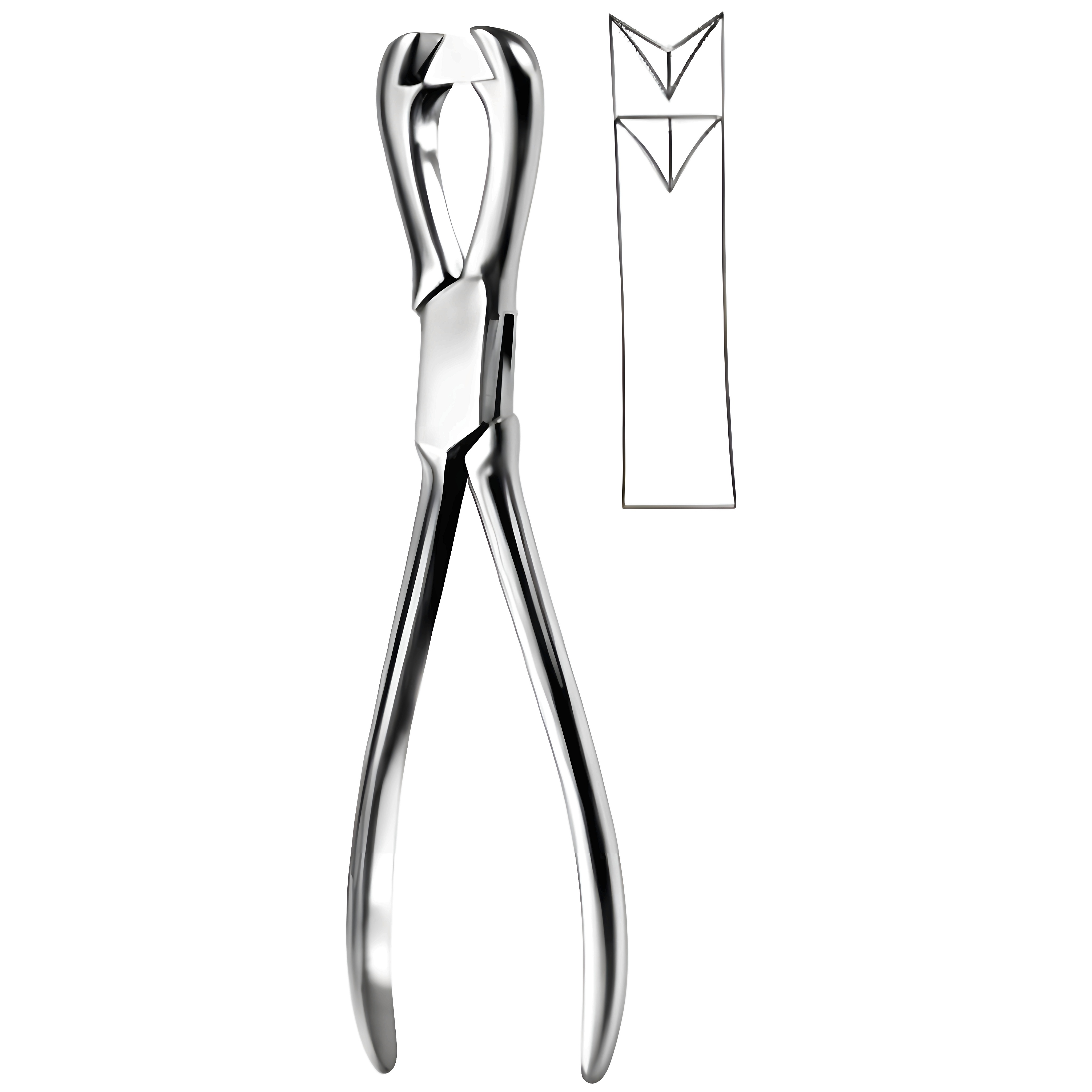 Fergusson Bone Holding Fcps 21cm
