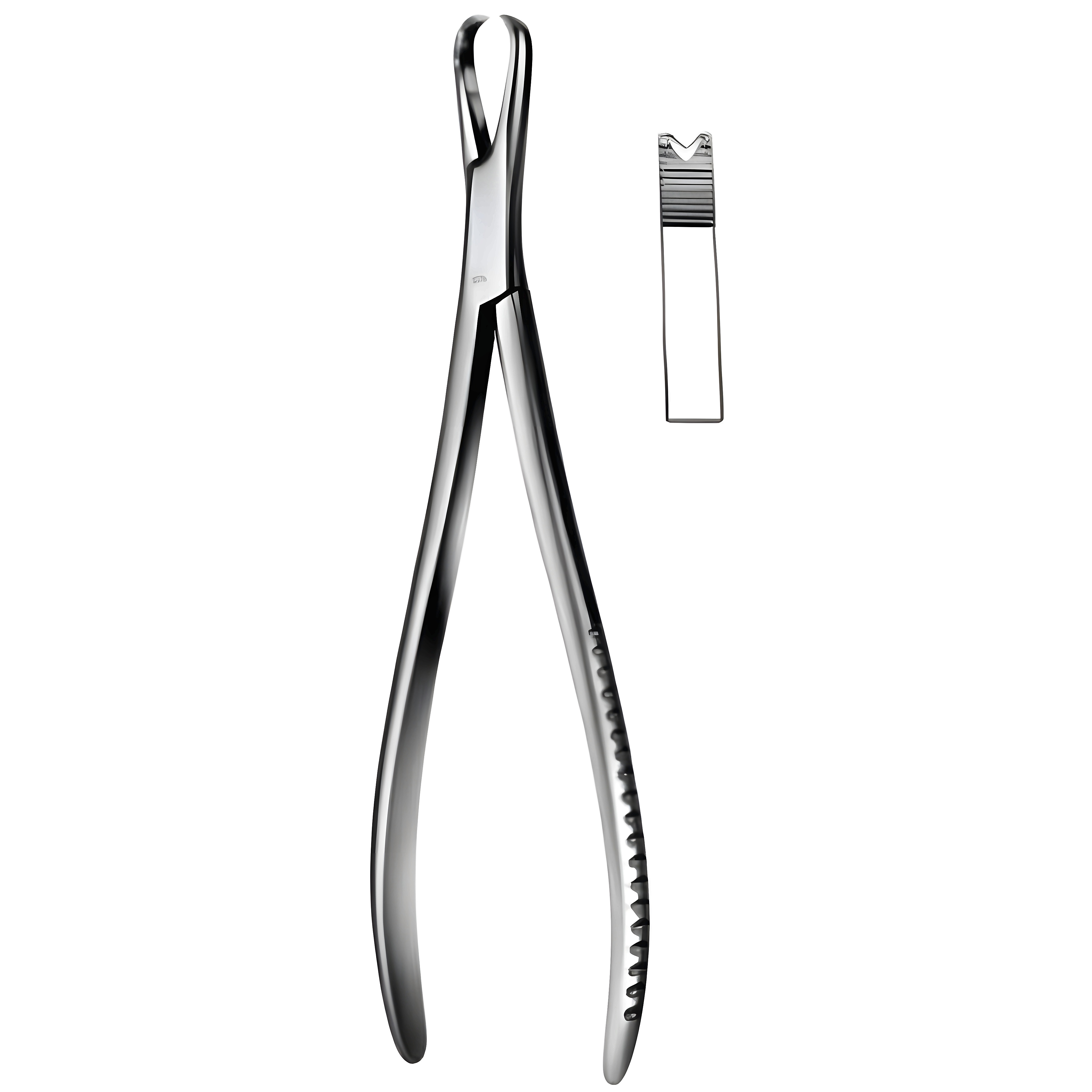 Bone Holding Fcps 20cm