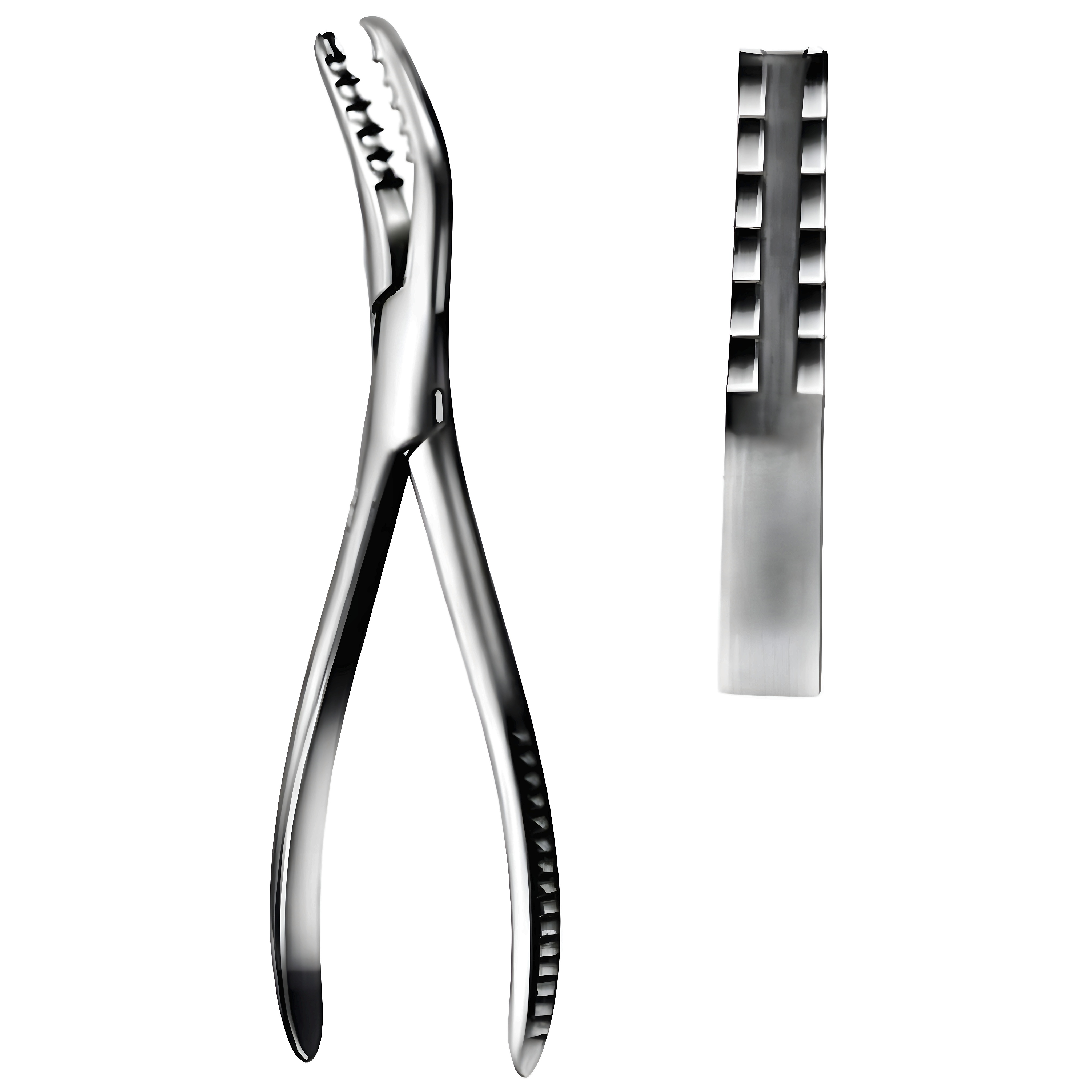 Semb Bone Holding Fcps 19cm