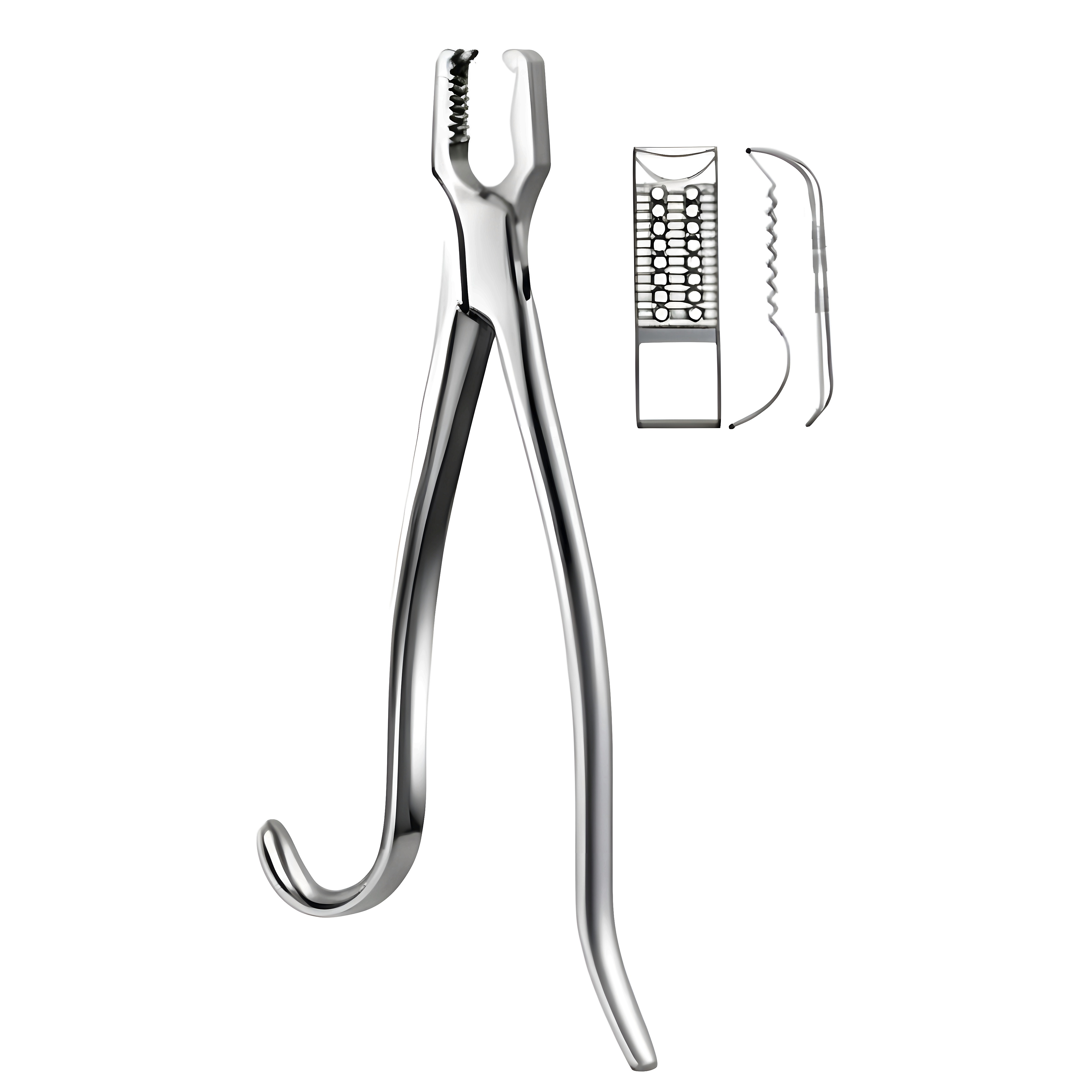 Kern Bone Holding Fcps 17cm