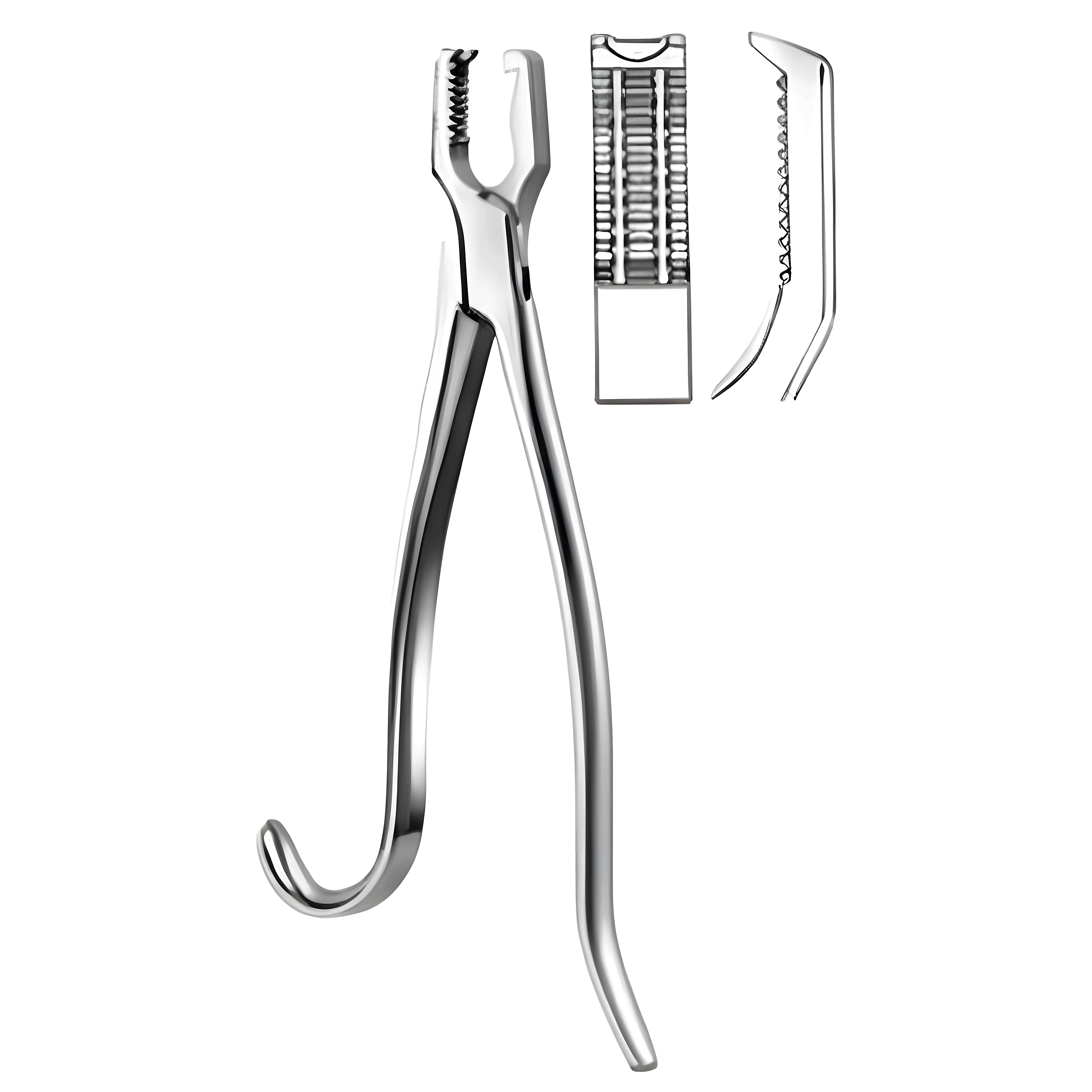 Kern Bone Holding Fcps 21cm