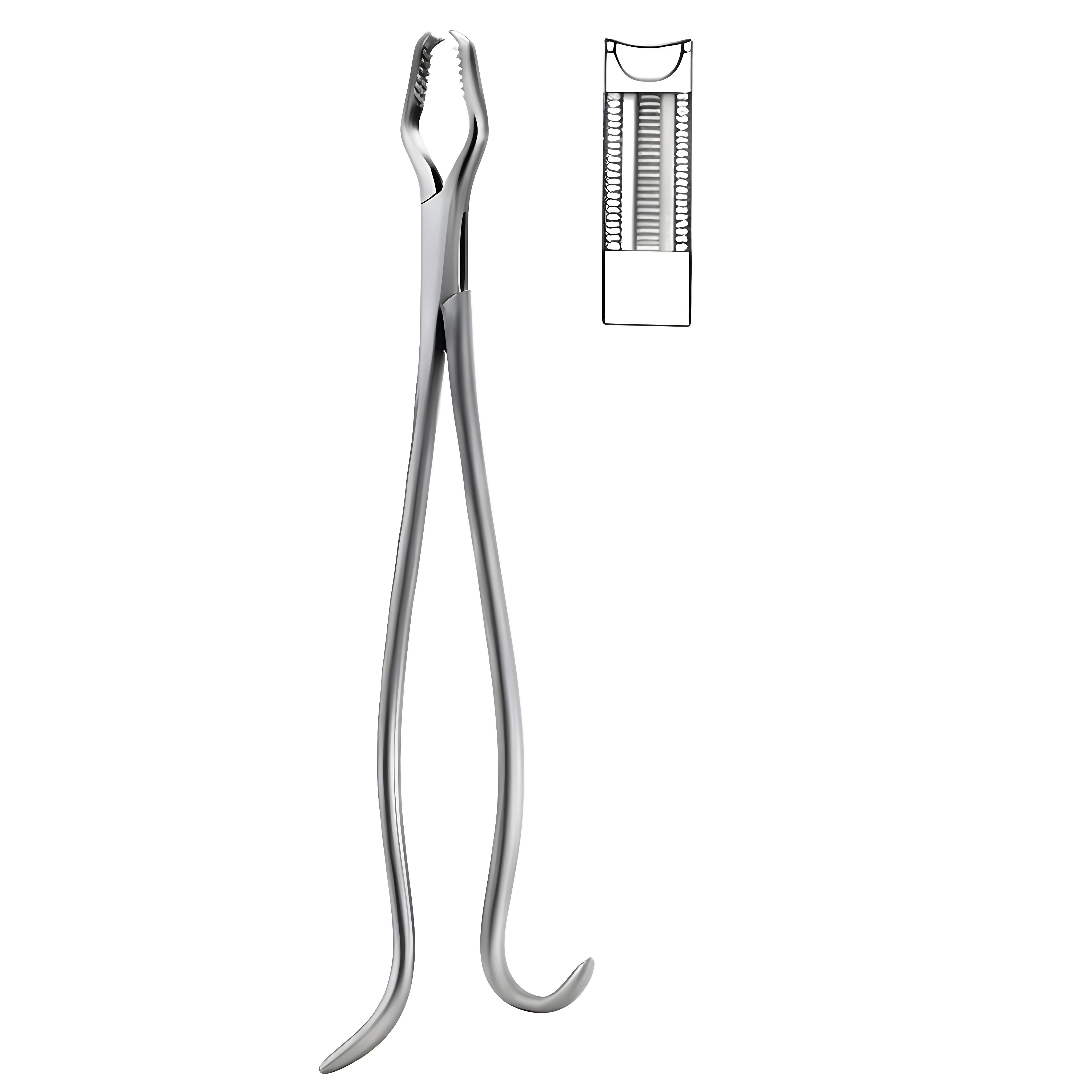 Lane Bone Holding Fcps 33cm