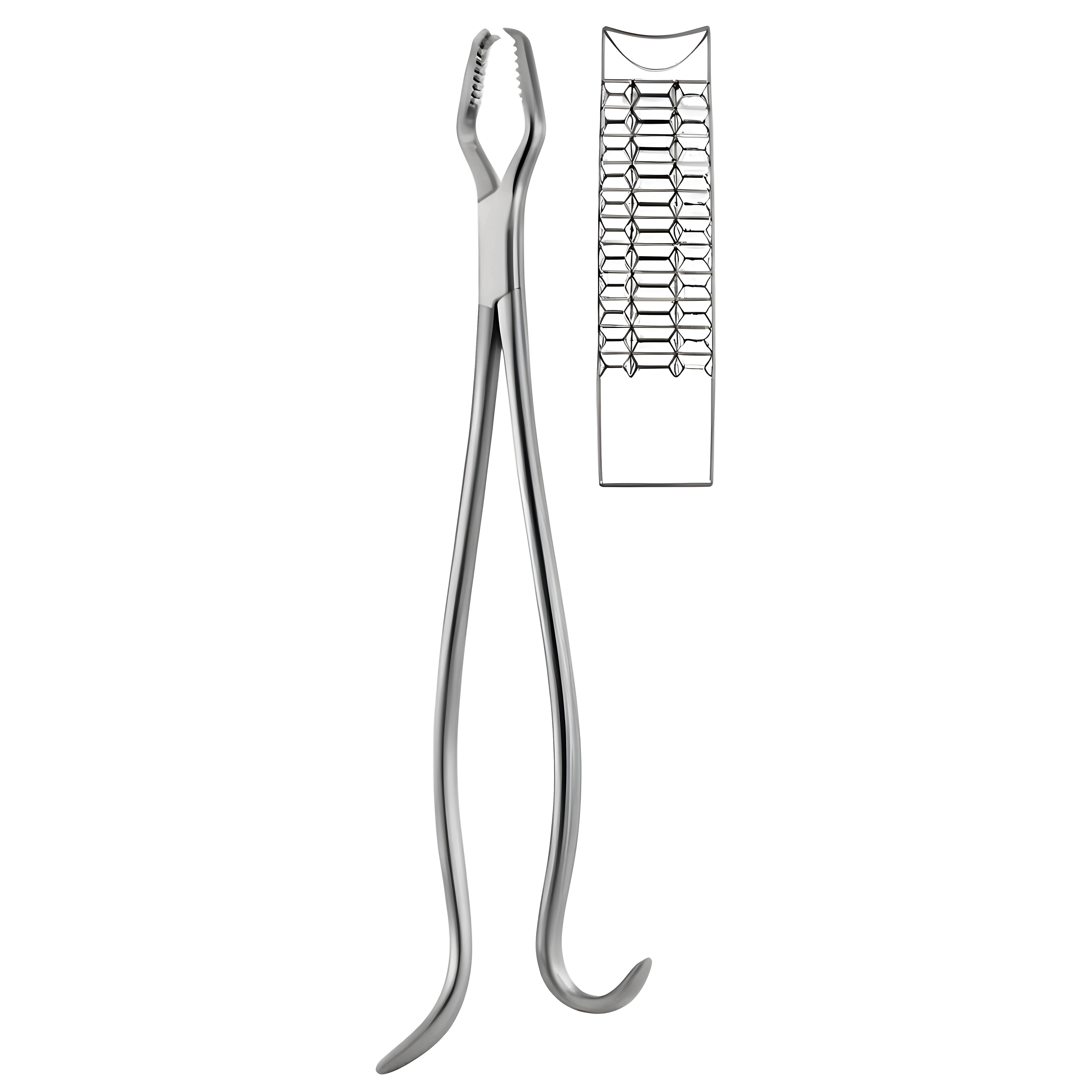 Lane Bone Holding Fcps 45cm