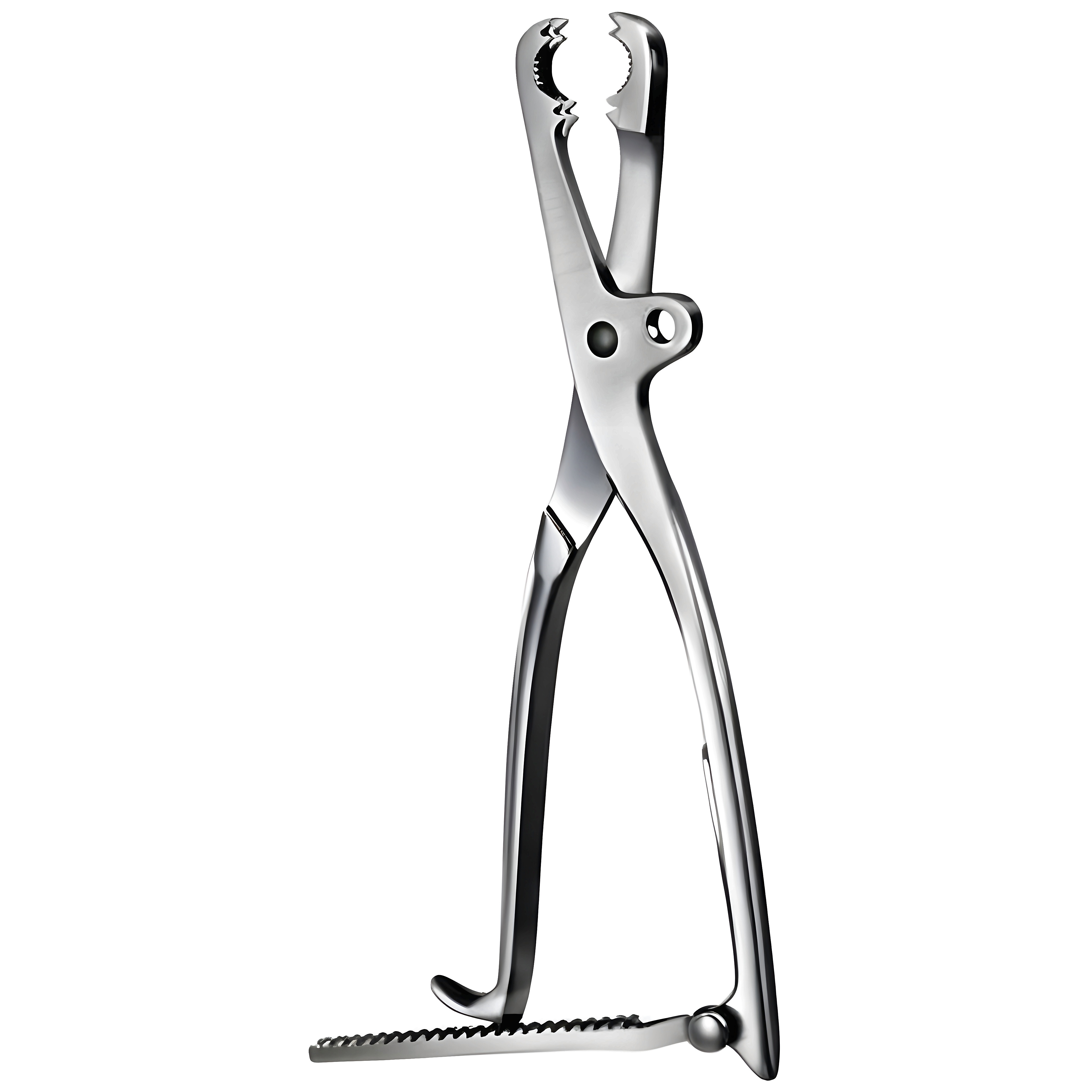 Tuffier Bone Holding Fcps w/ratchet 27cm