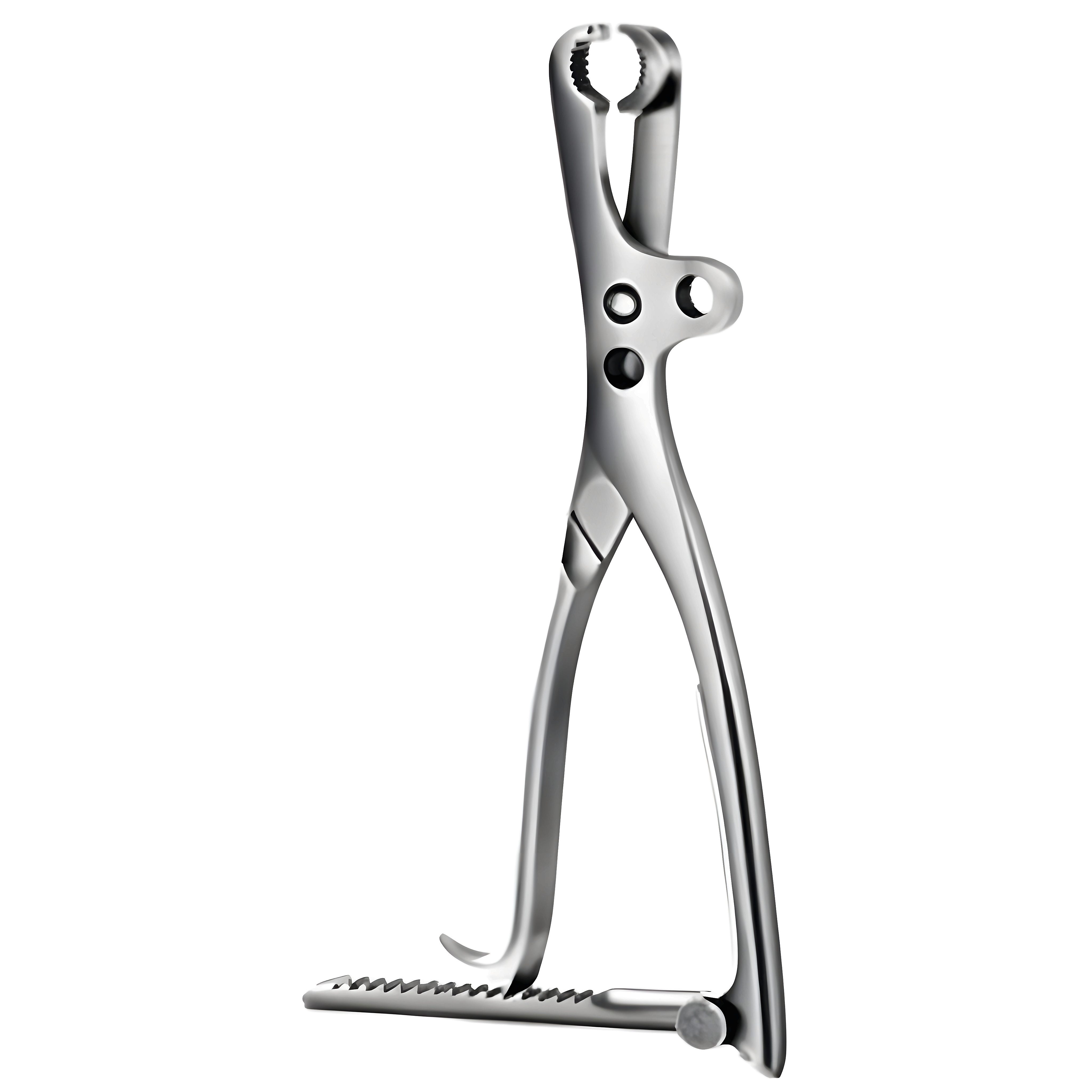 Lambotte Bone Holding Fcps 22cm