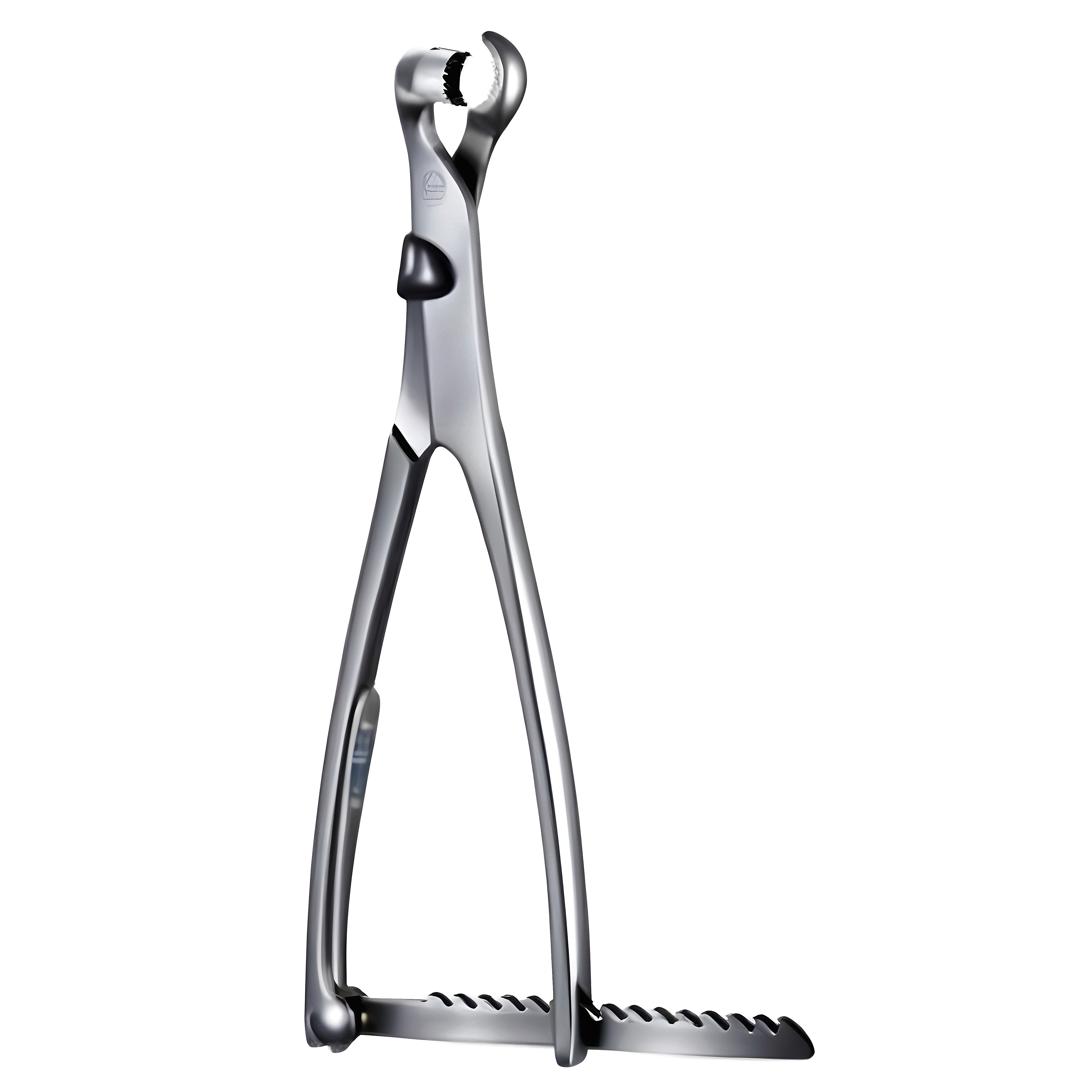 Lambotte Bone Holding Fcps w/Ratchets 22cm