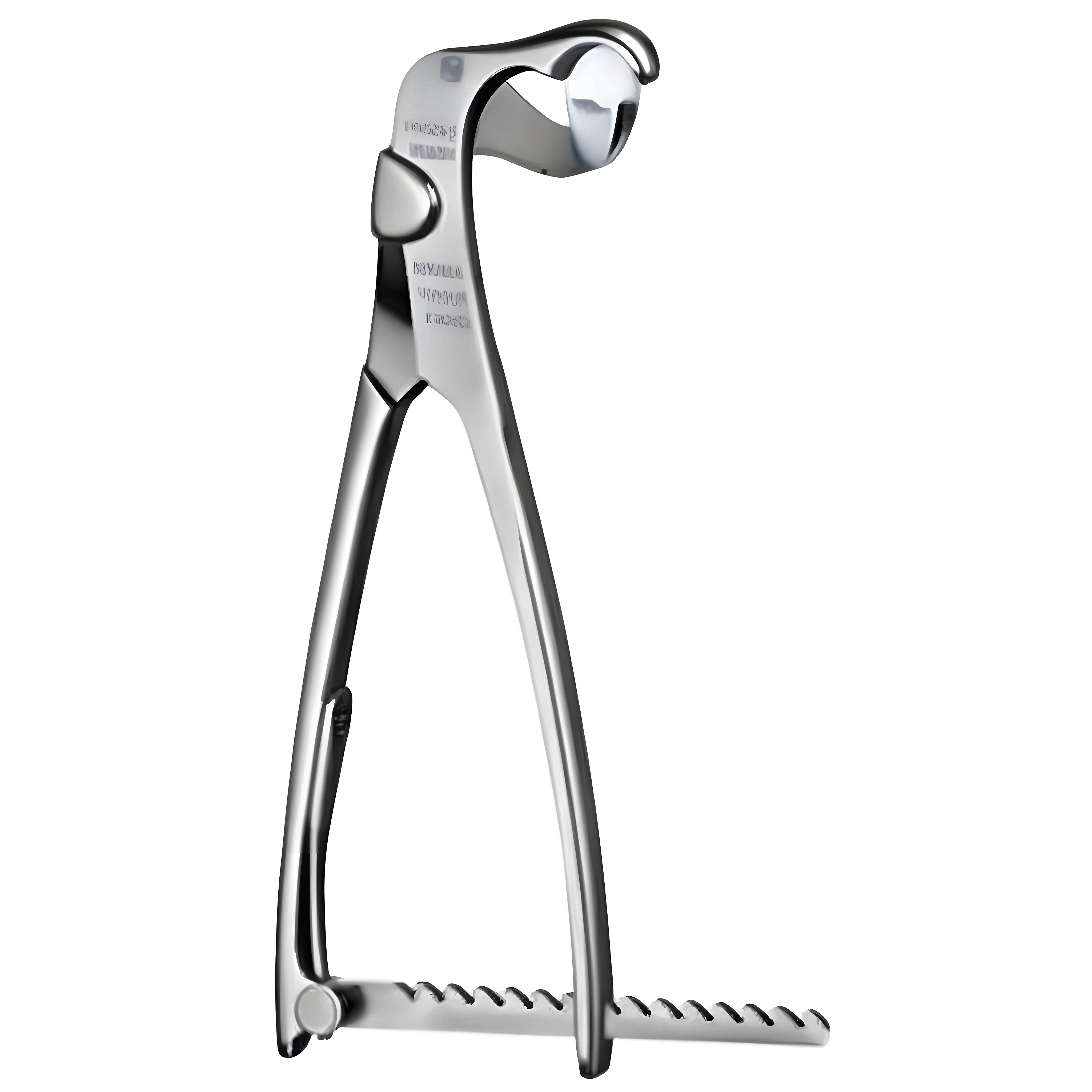 Lambotte Bone Holding Fcps 19cm