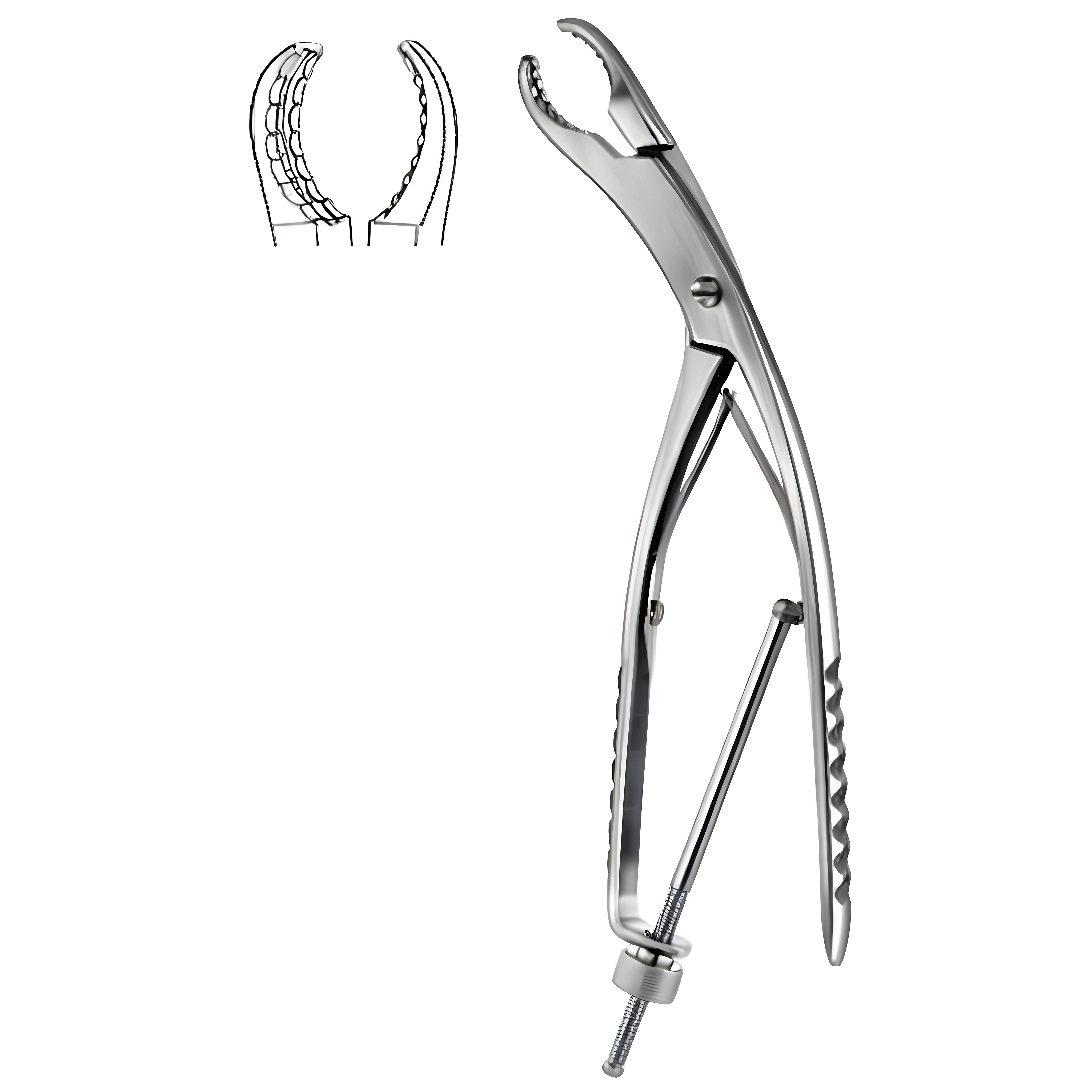 Ulrich Bone Holding Fcps cvd 25cm