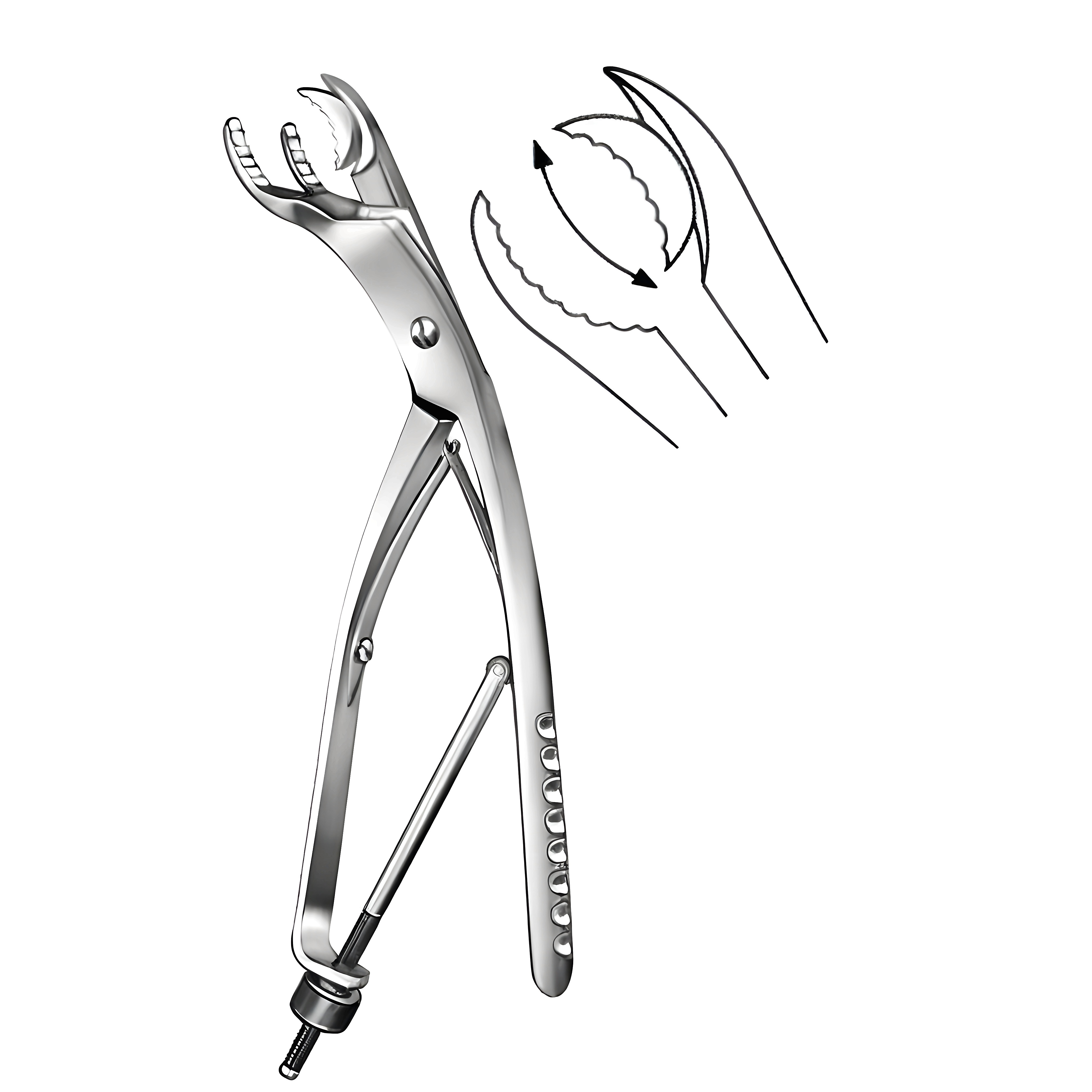 Ulrich Bone Hold.Fcps w/swivel jaws ang. 28cm