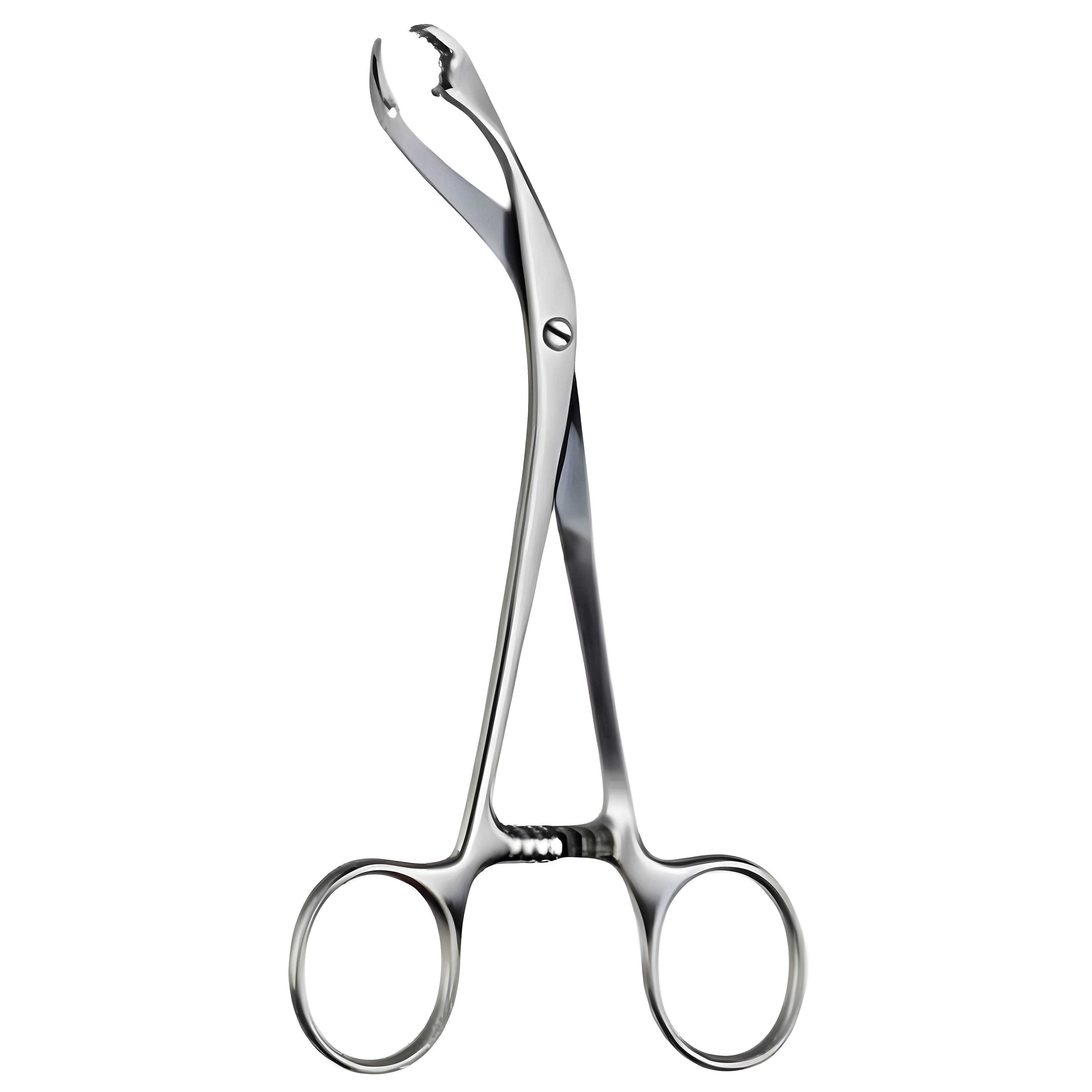 Verbrugge Bone Holding Fcps S/J 17.5cm