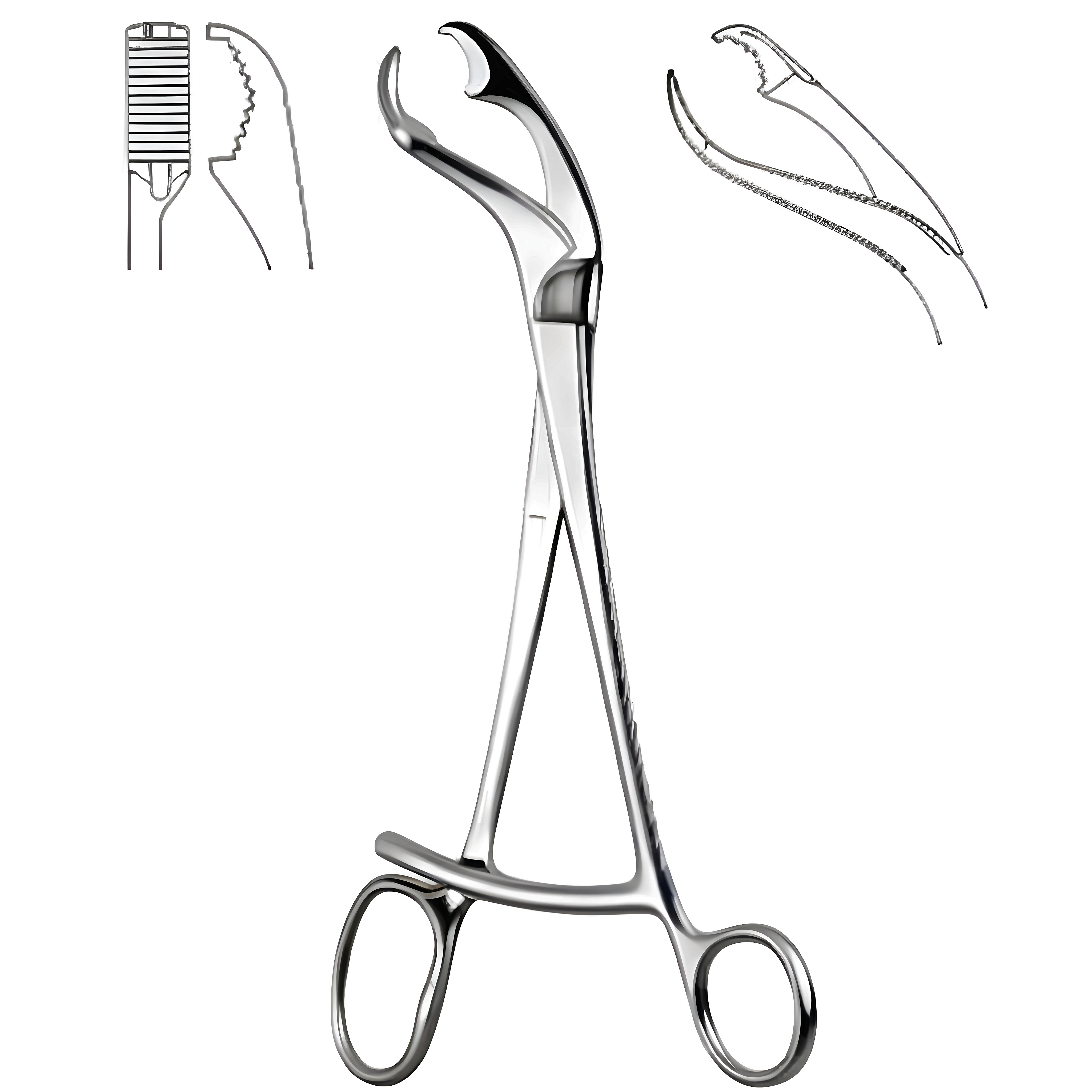 VERBRUGGE Bone Holding Fcps 17.5cm