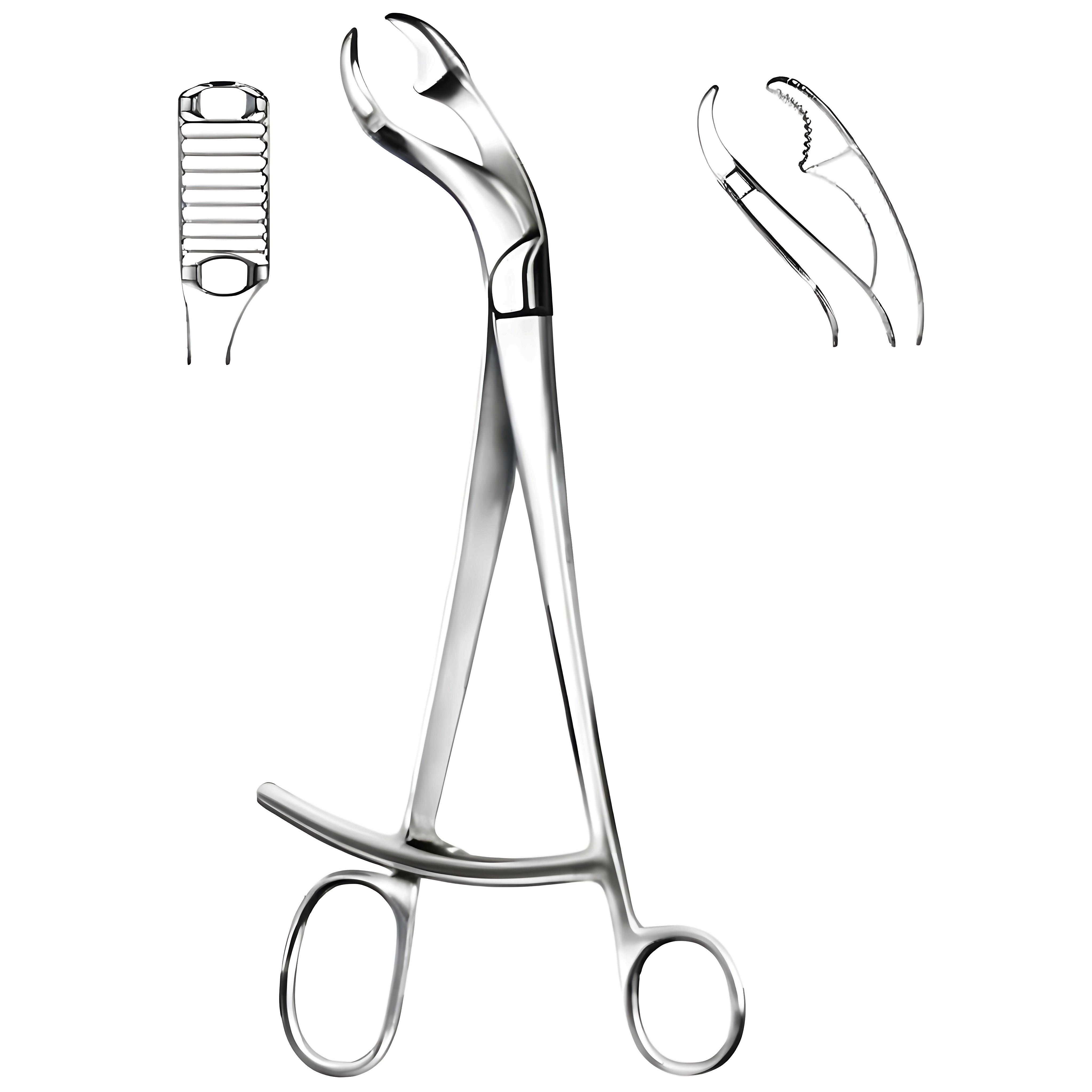 VERBRUGGE Bone Holding Fcps 25cm