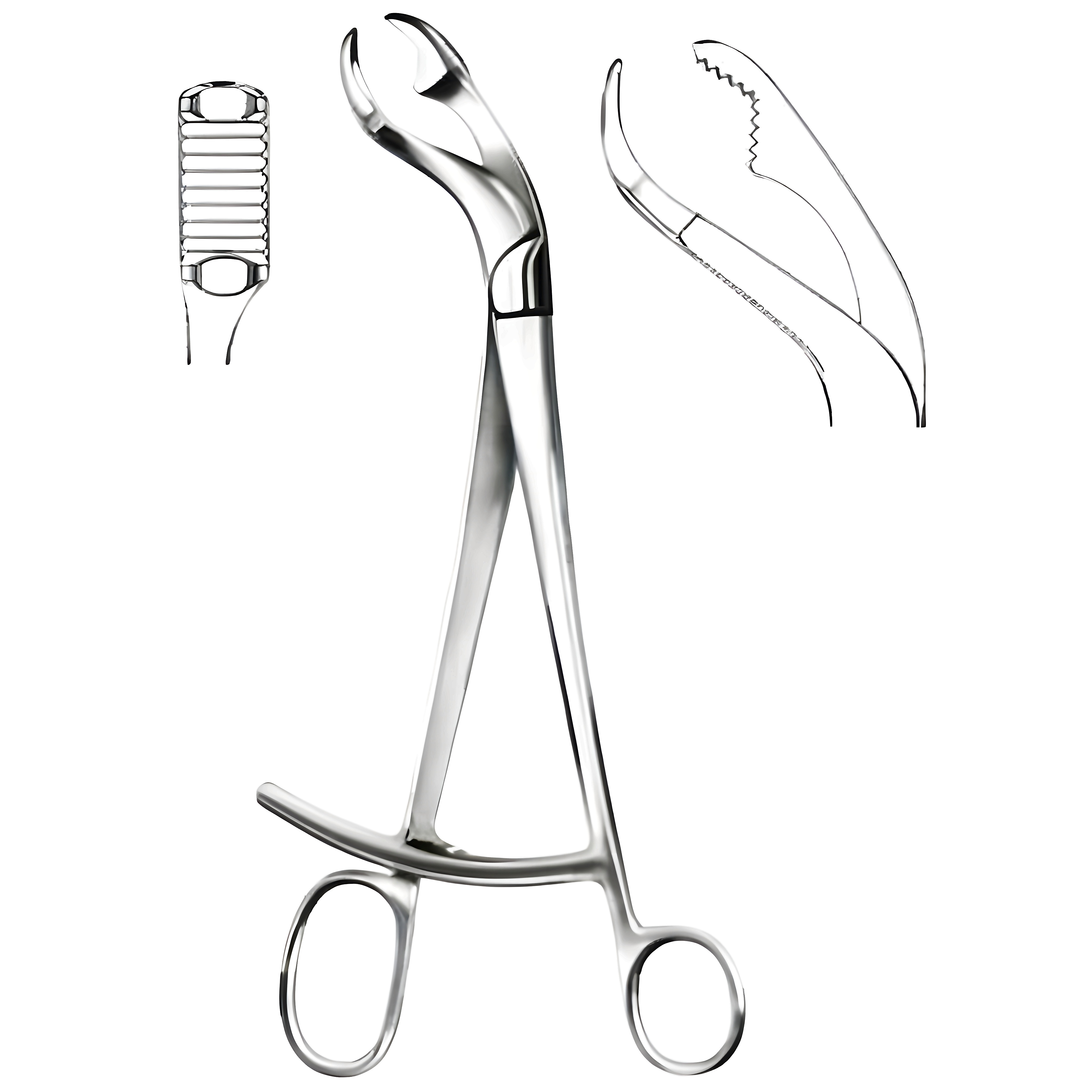 VERBRUGGE Bone Holding Fcps 27cm