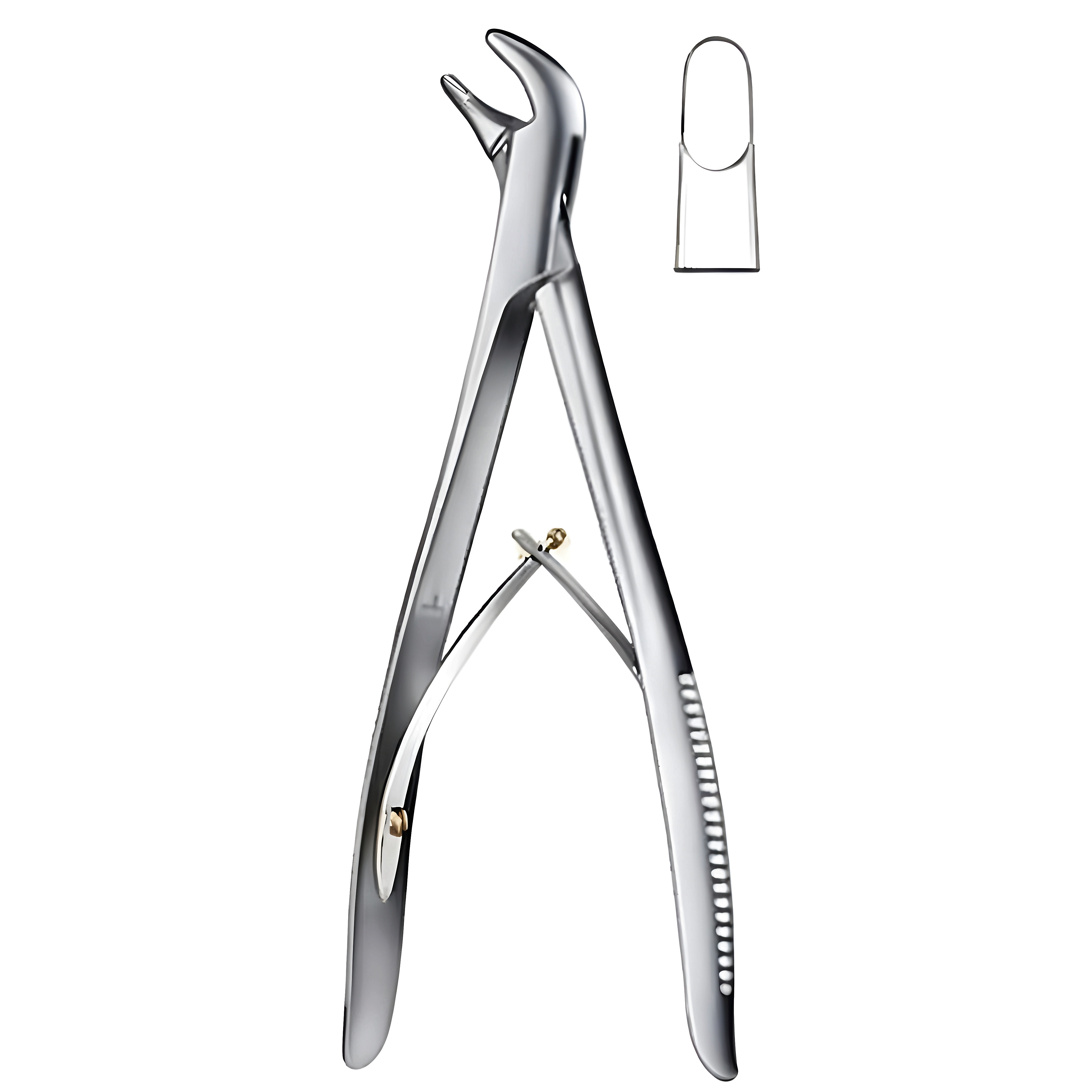Bacon Bone Rongeur angled to side 7mm, 20cm