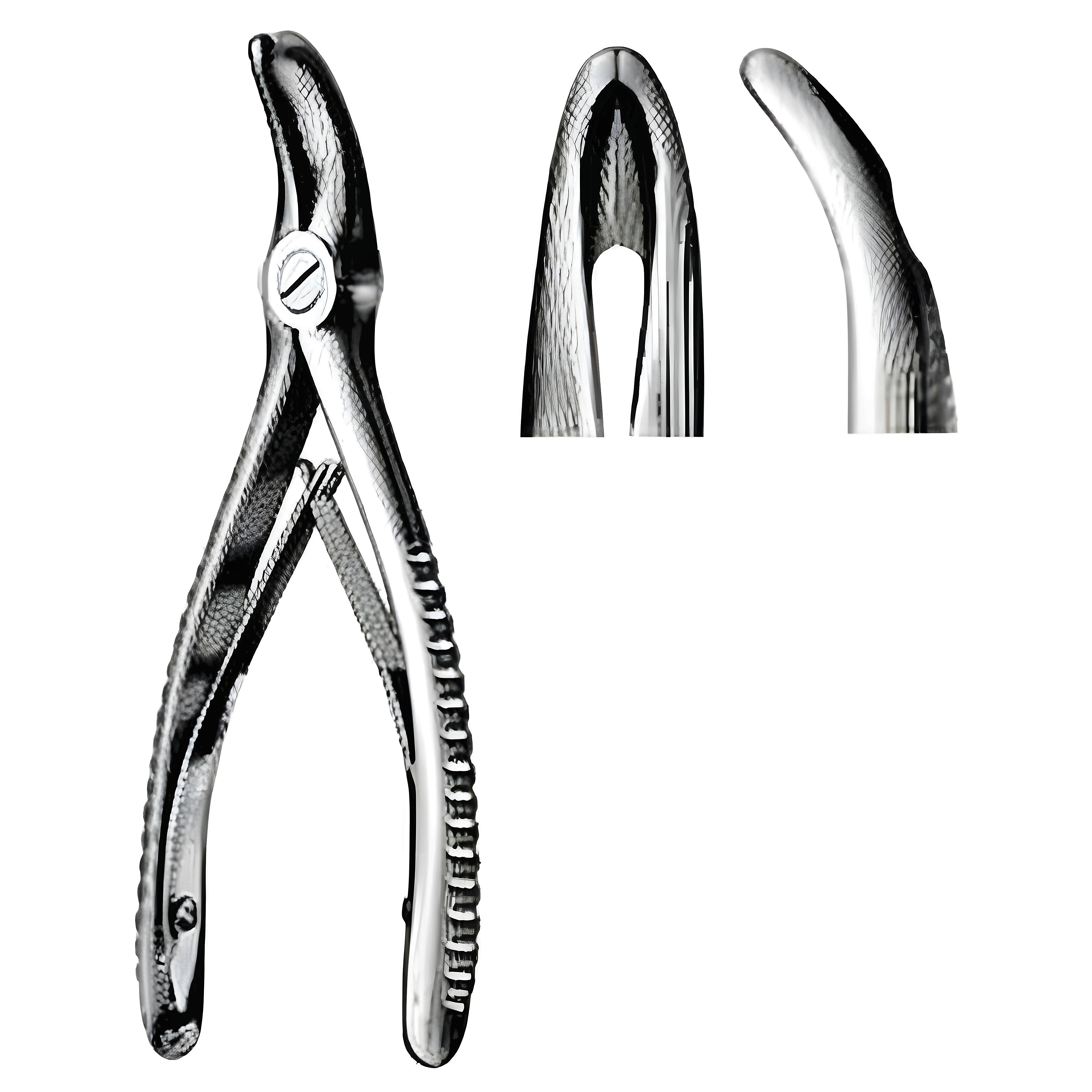 Universal Bone Rongeur S/J 13cm