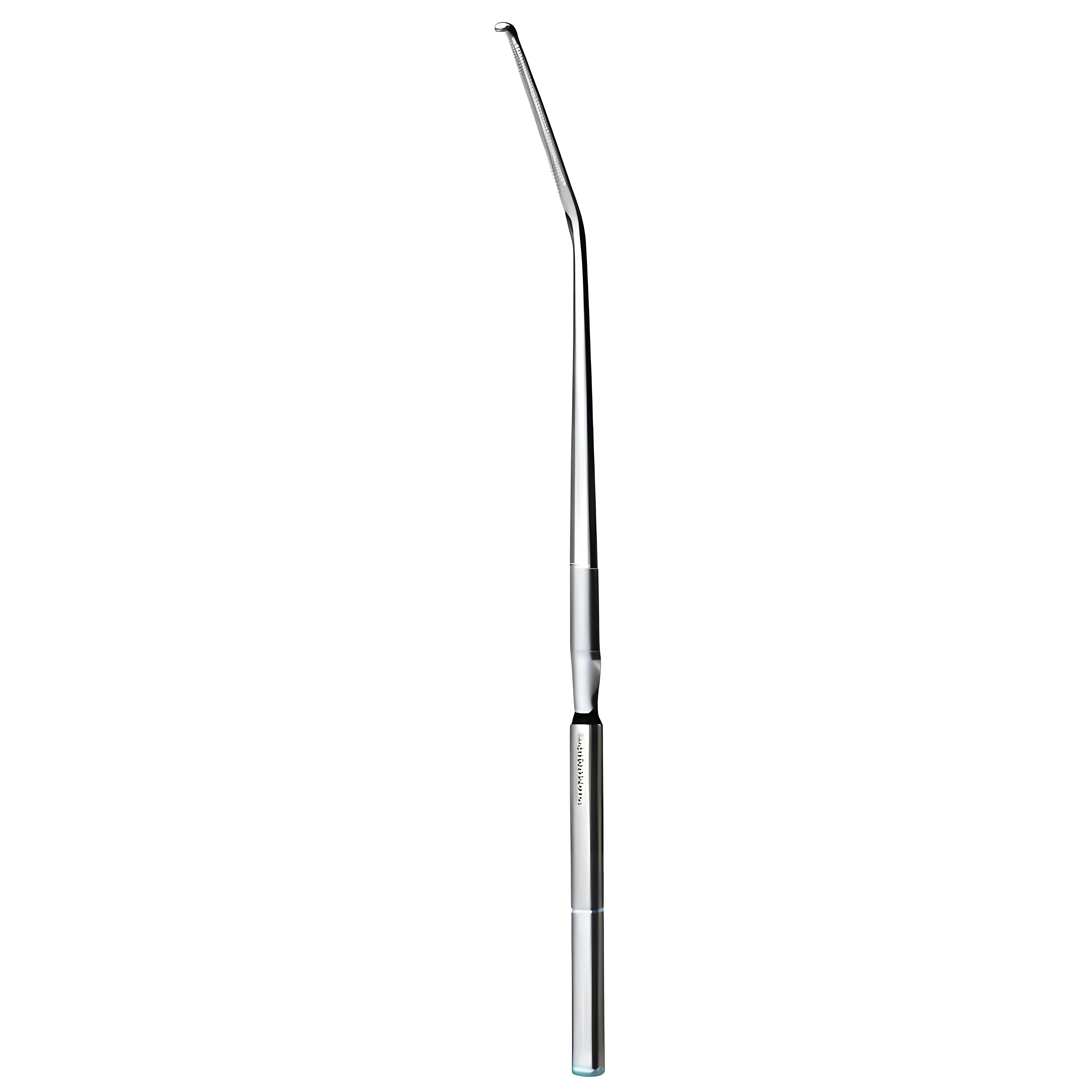 Dandy Nerve Hook 20cm
