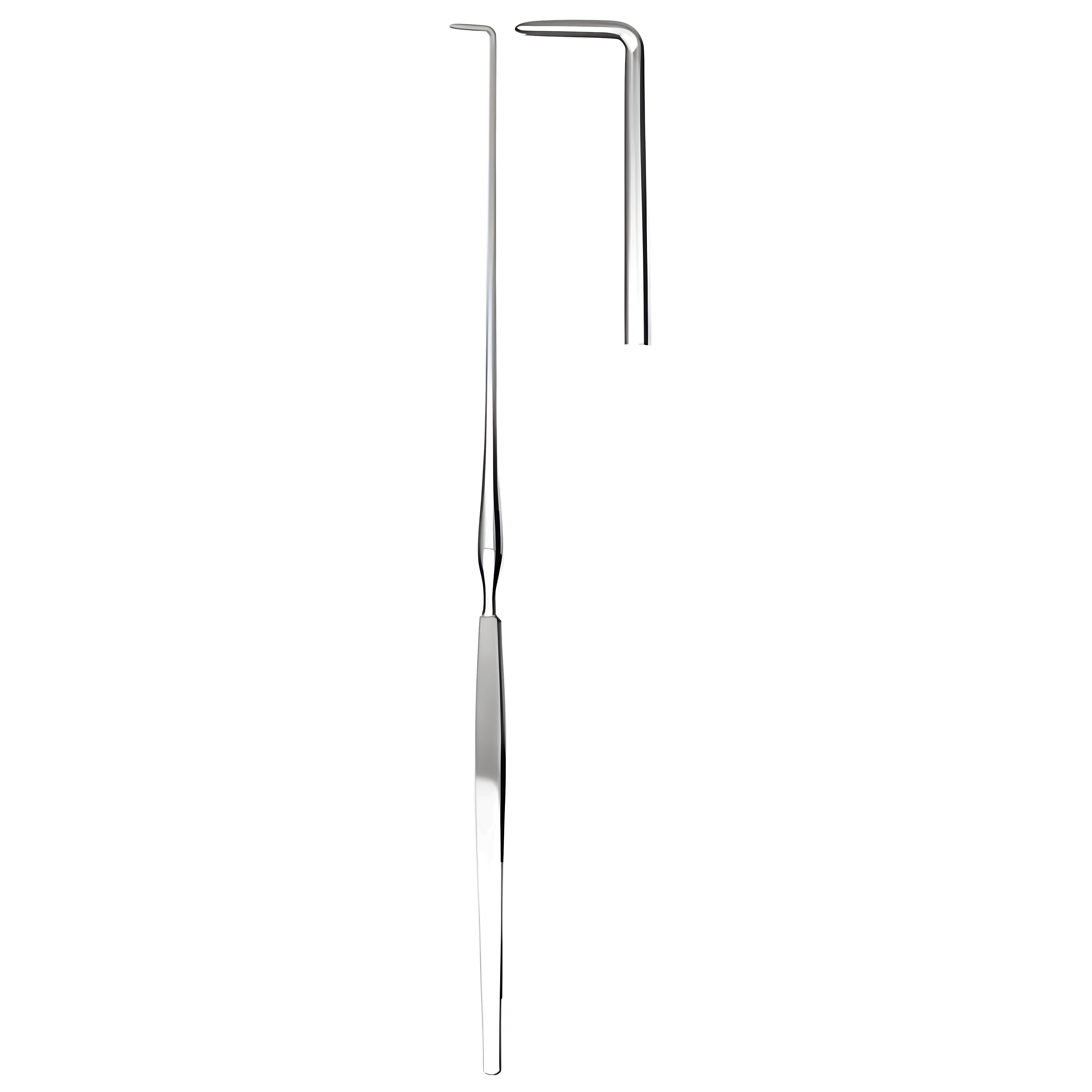 Hoen Dura Hook blunt 22cm