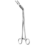 Bulldog Applying Fcps 23cm