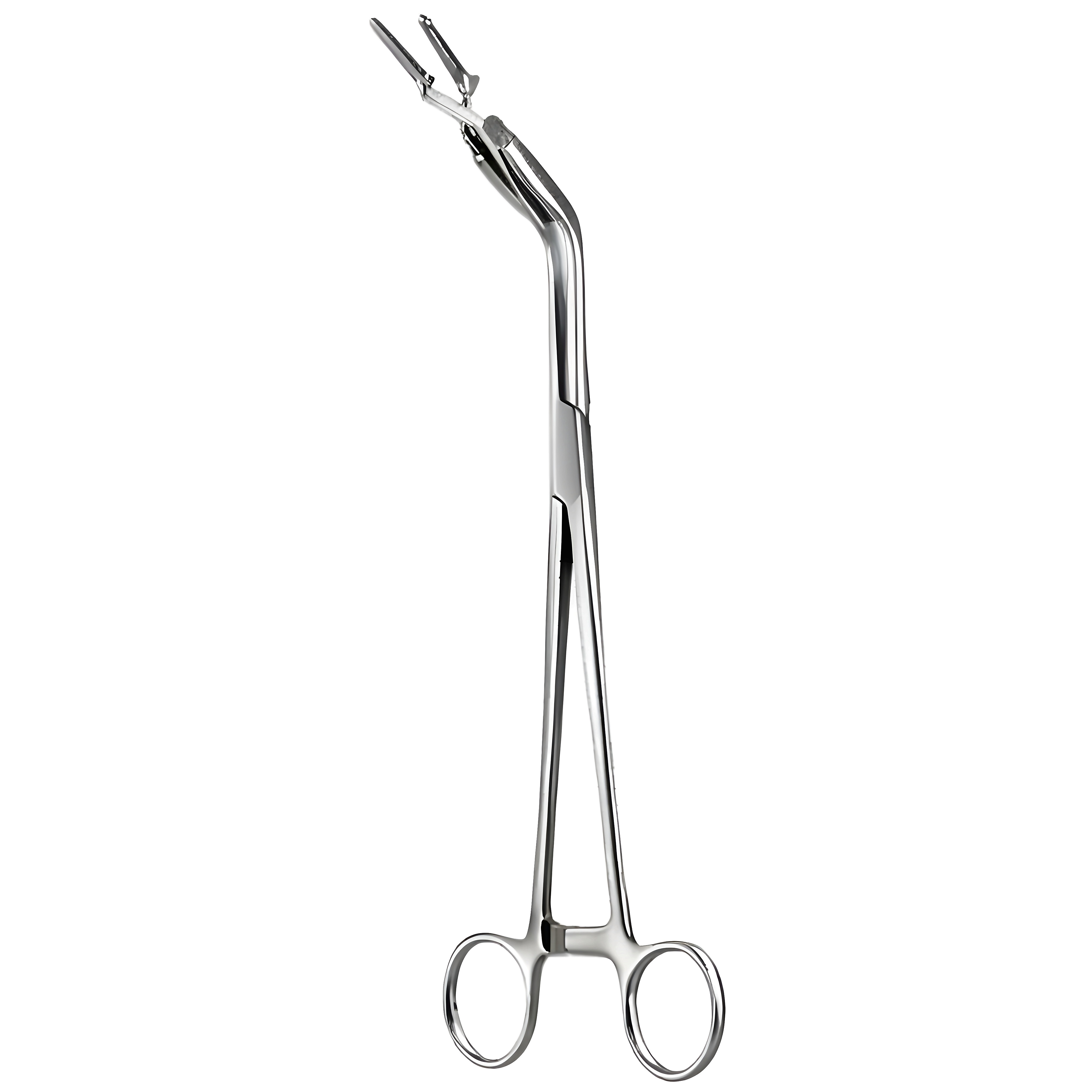 Bulldog Applying Fcps 23cm
