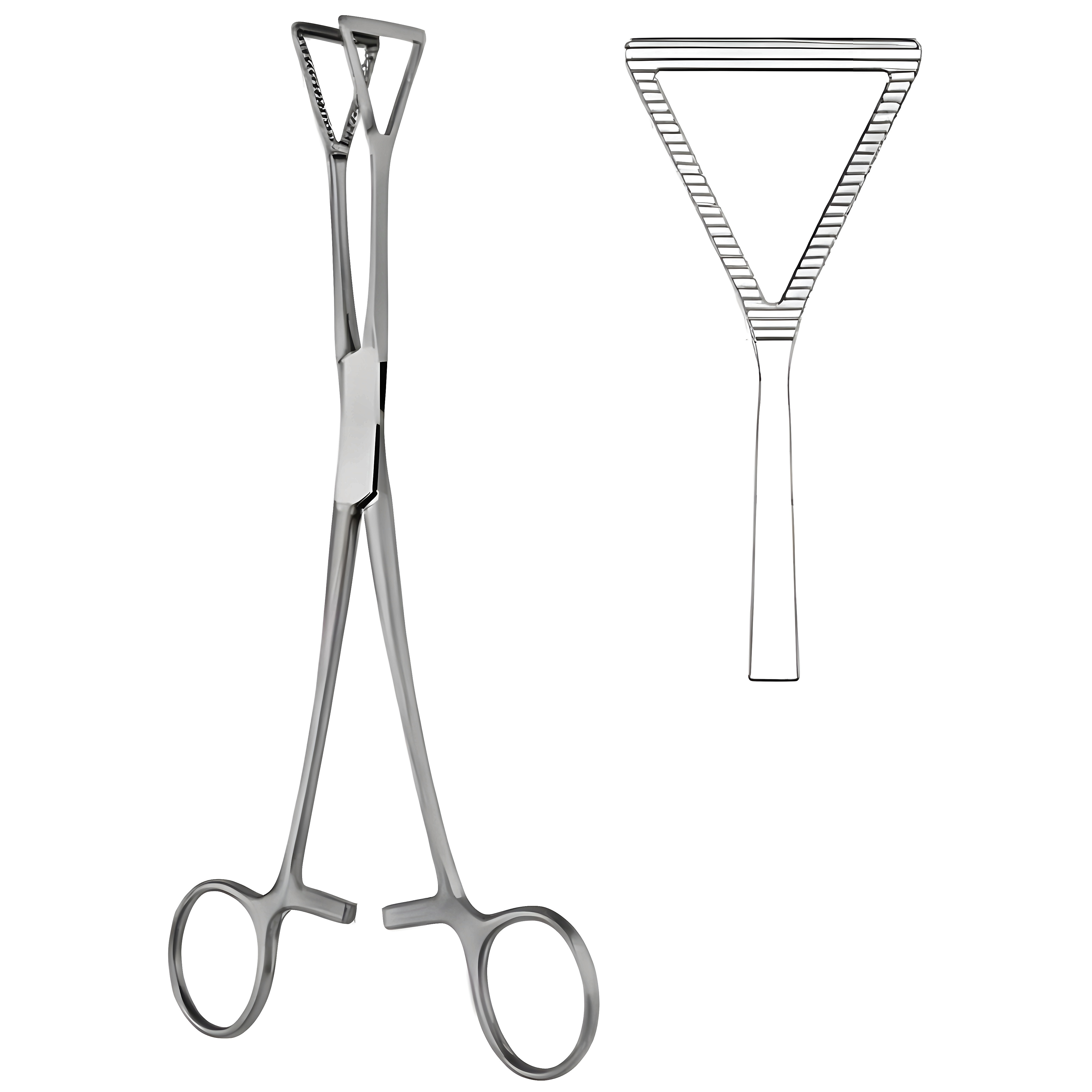 Lovelace Lung Grasp Fcps 20cm