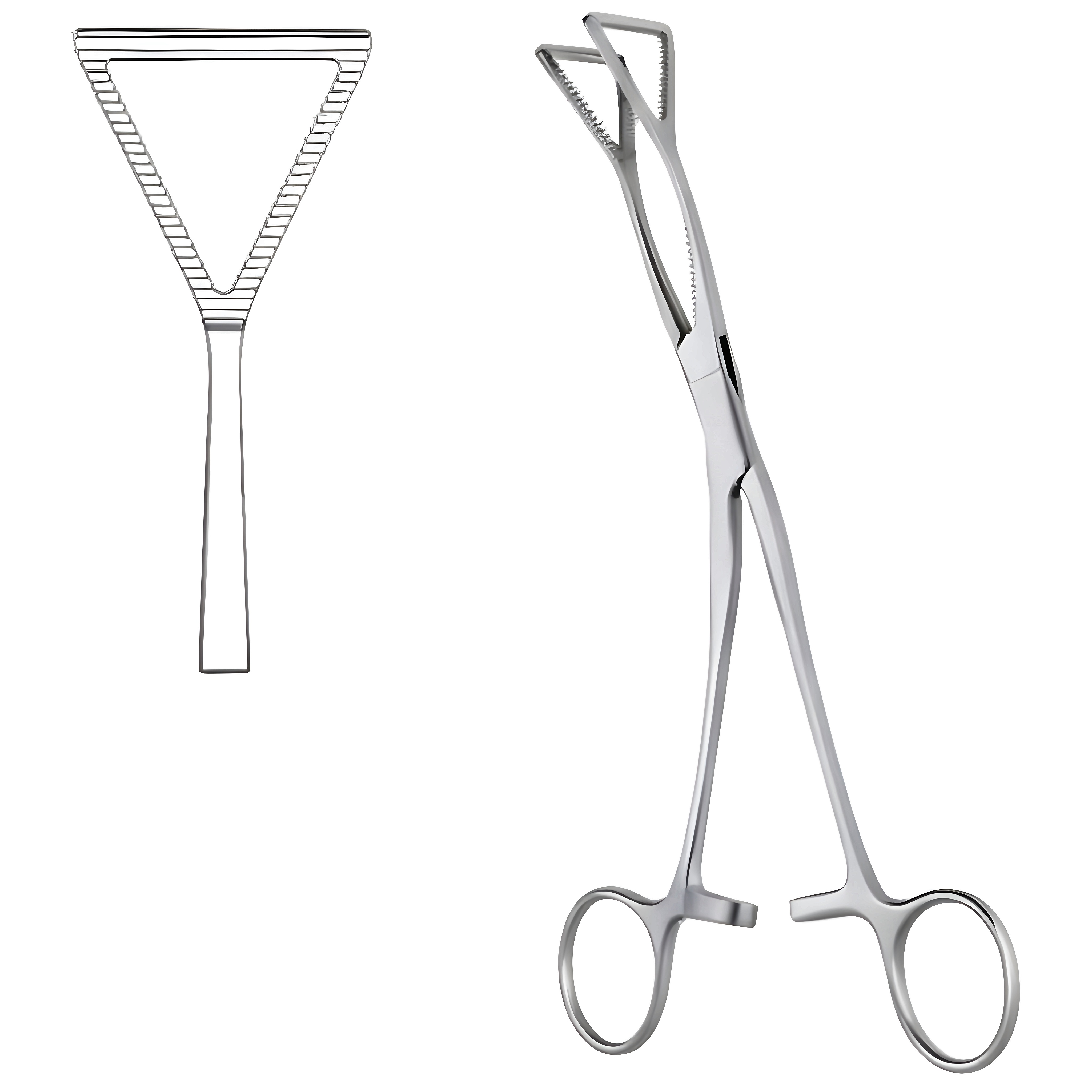 Lovelace Lung Grasp Fcps 20cm