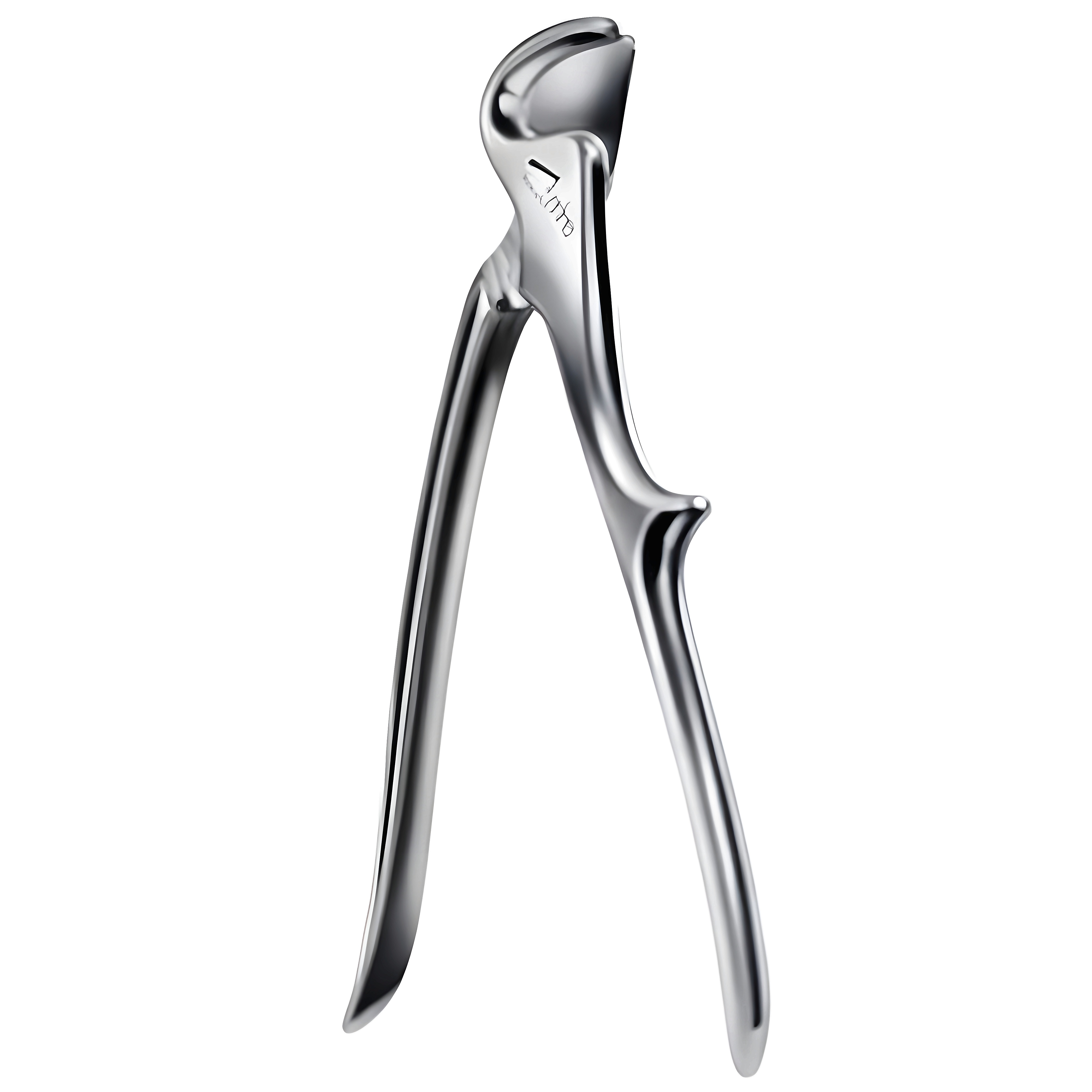 Stille Rib Shear 21cm