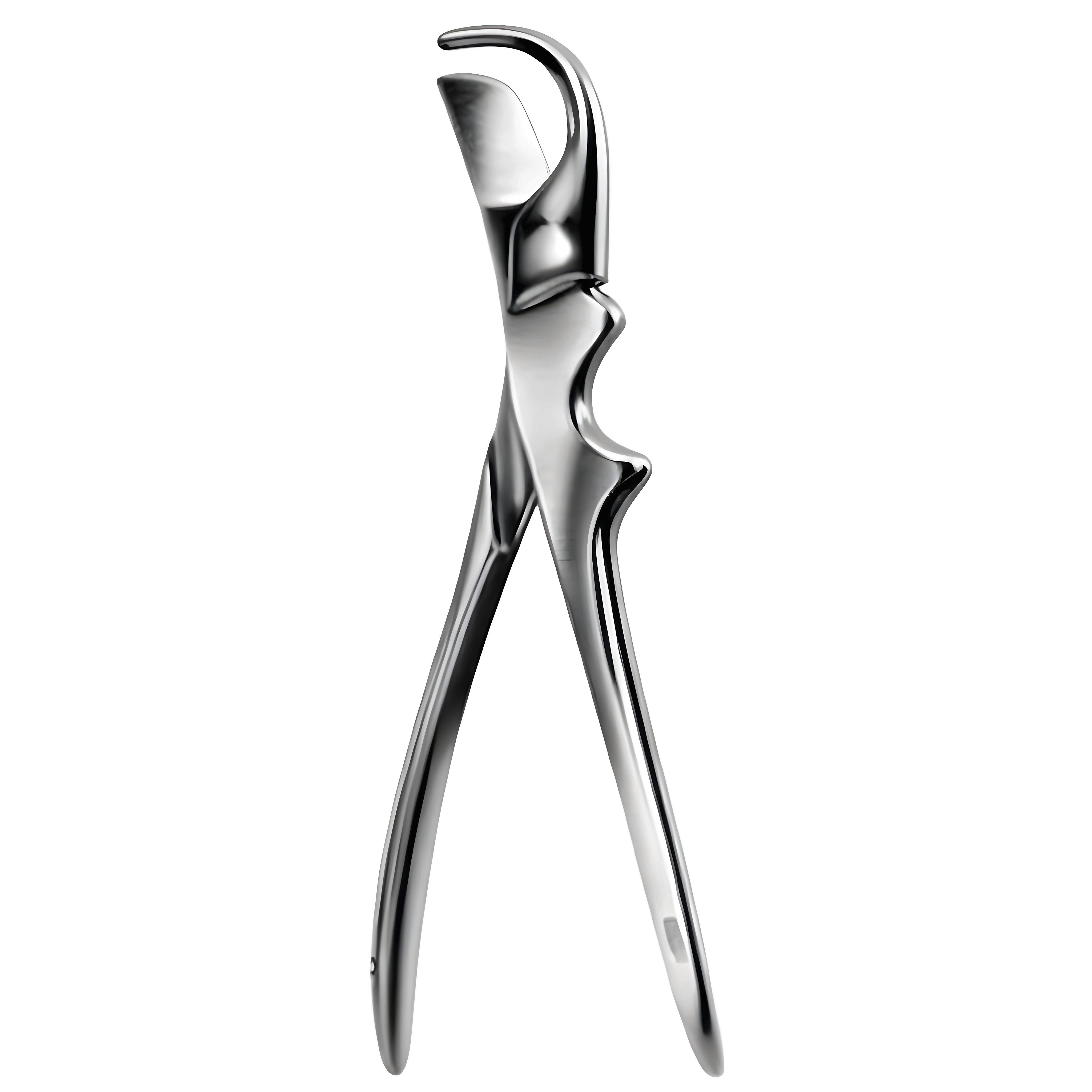 Gluck Rib Shear 19cm