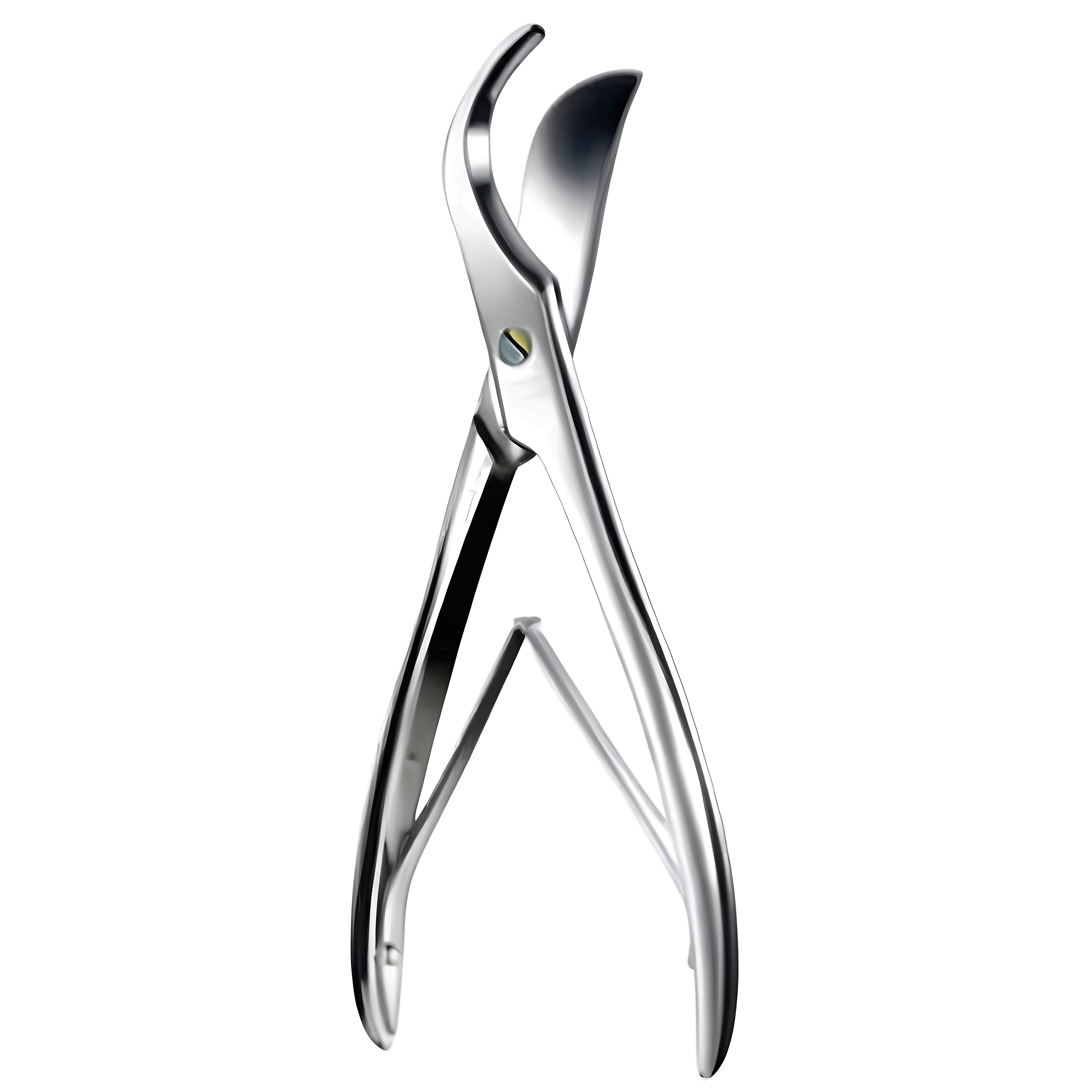 Bone and Rib Shear 22cm