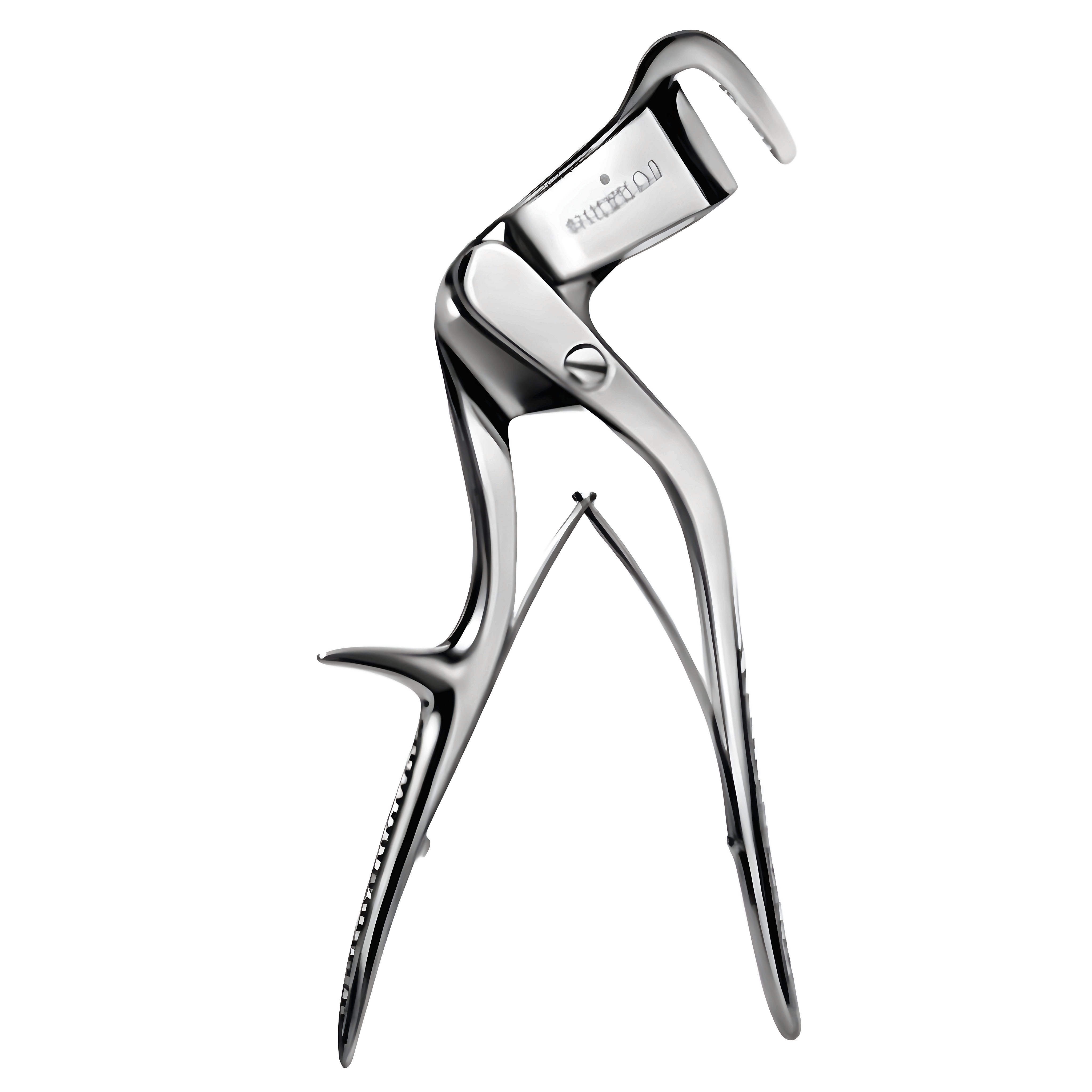 Lebsche Rib Shear 25cm