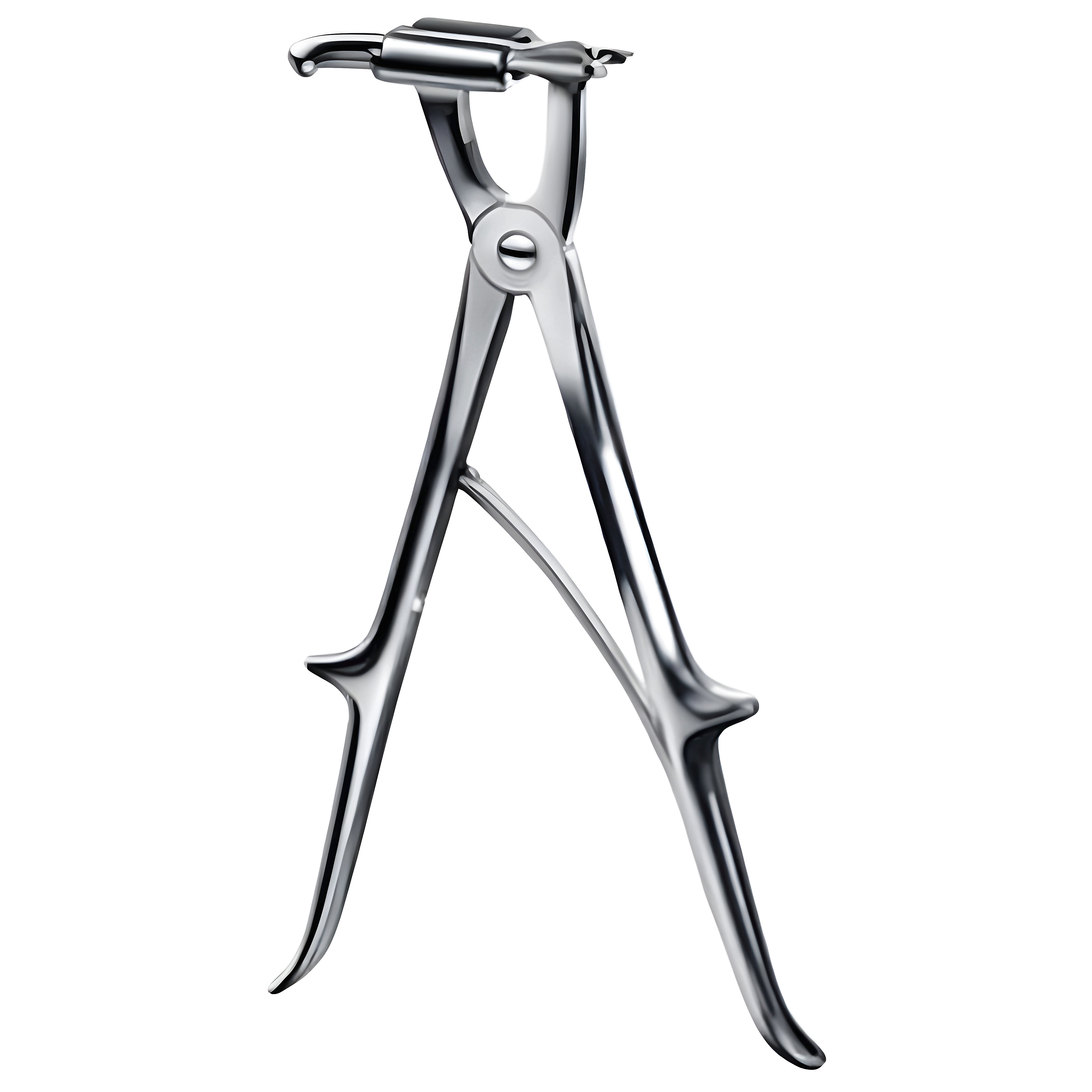 Sauerbruch Rib Shear Adult 26cm
