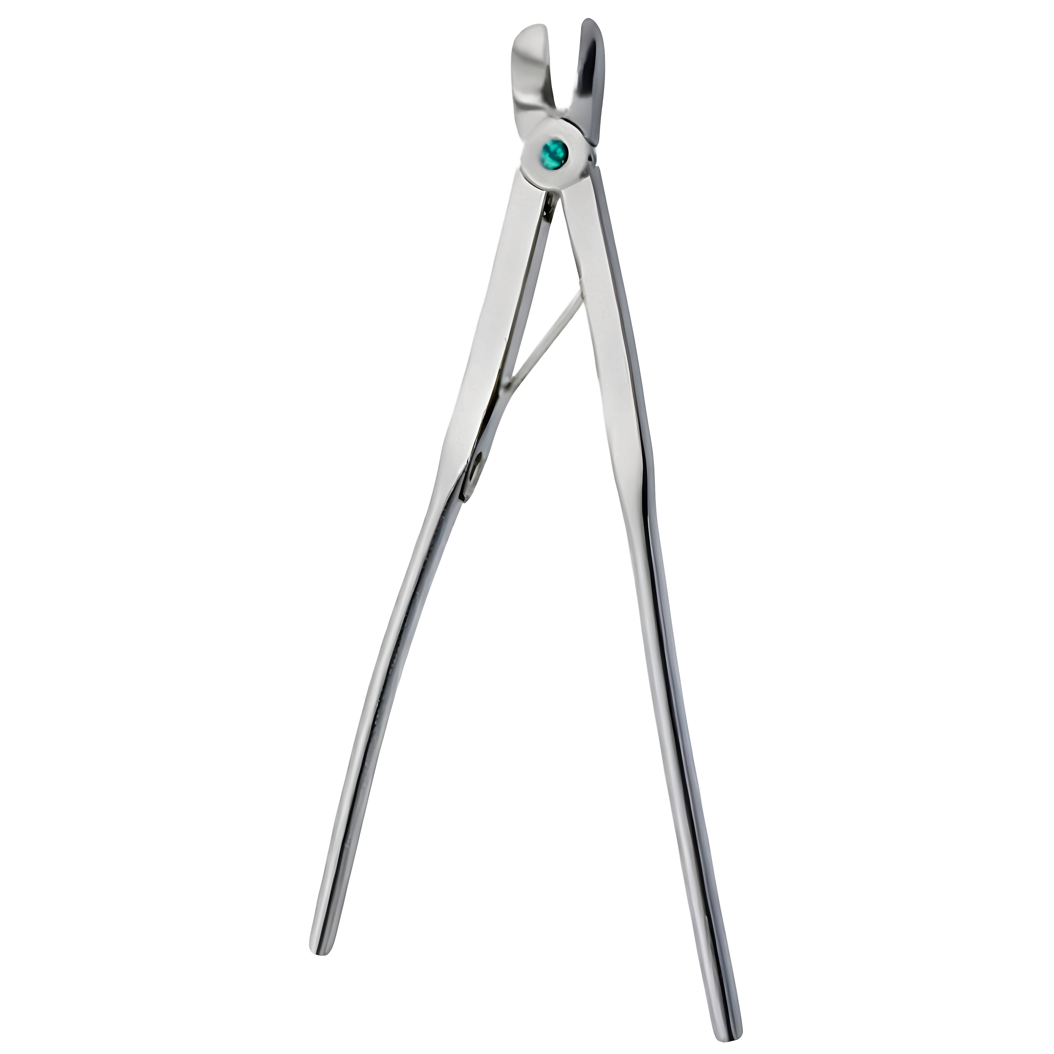 Bethune Rib Shear 34cm
