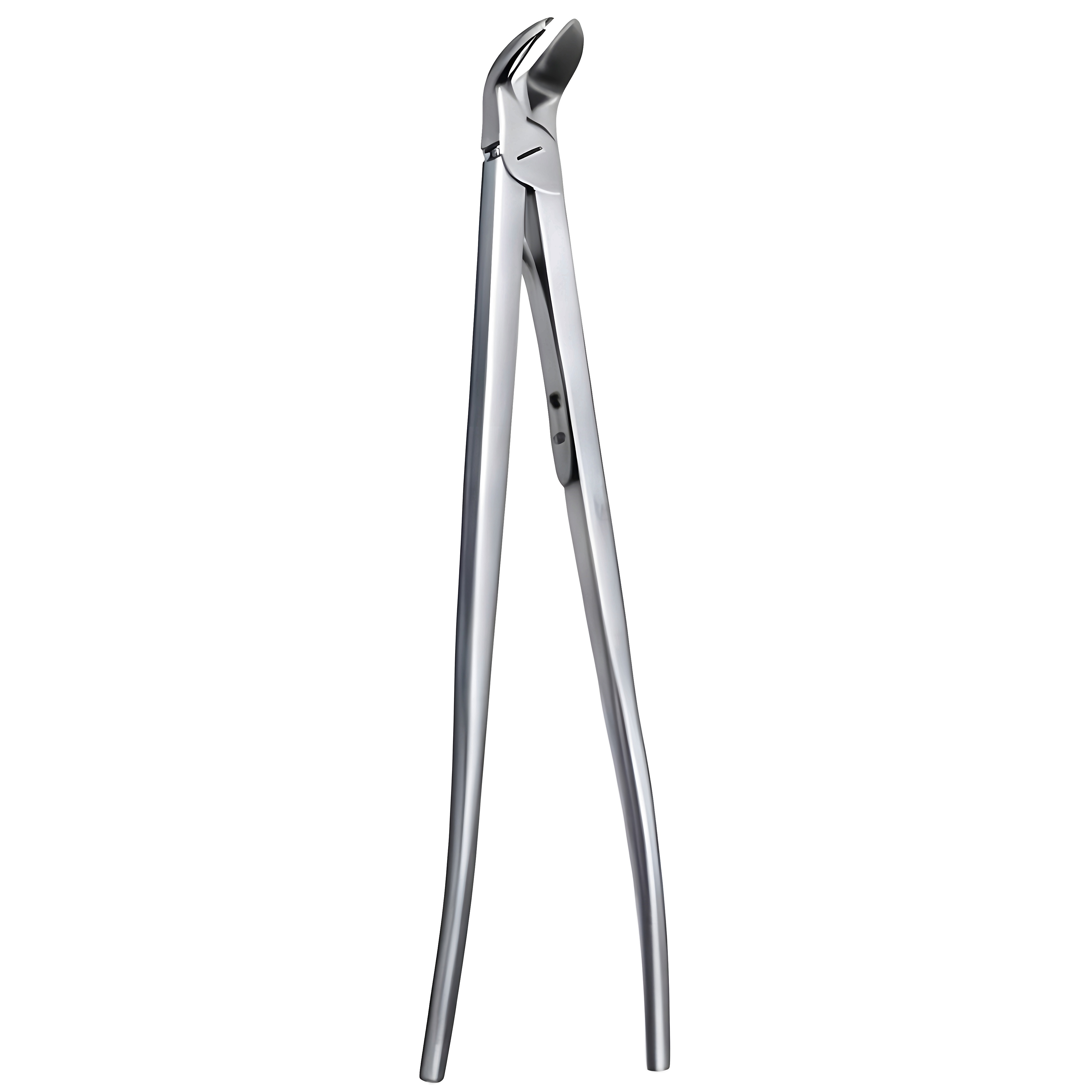Roberts Rib Shear 34cm, w/angular probe ended