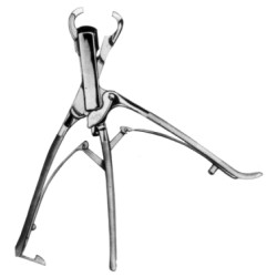 Tudor Edward/Vehmehren Rib Holder and Costotome 23cm