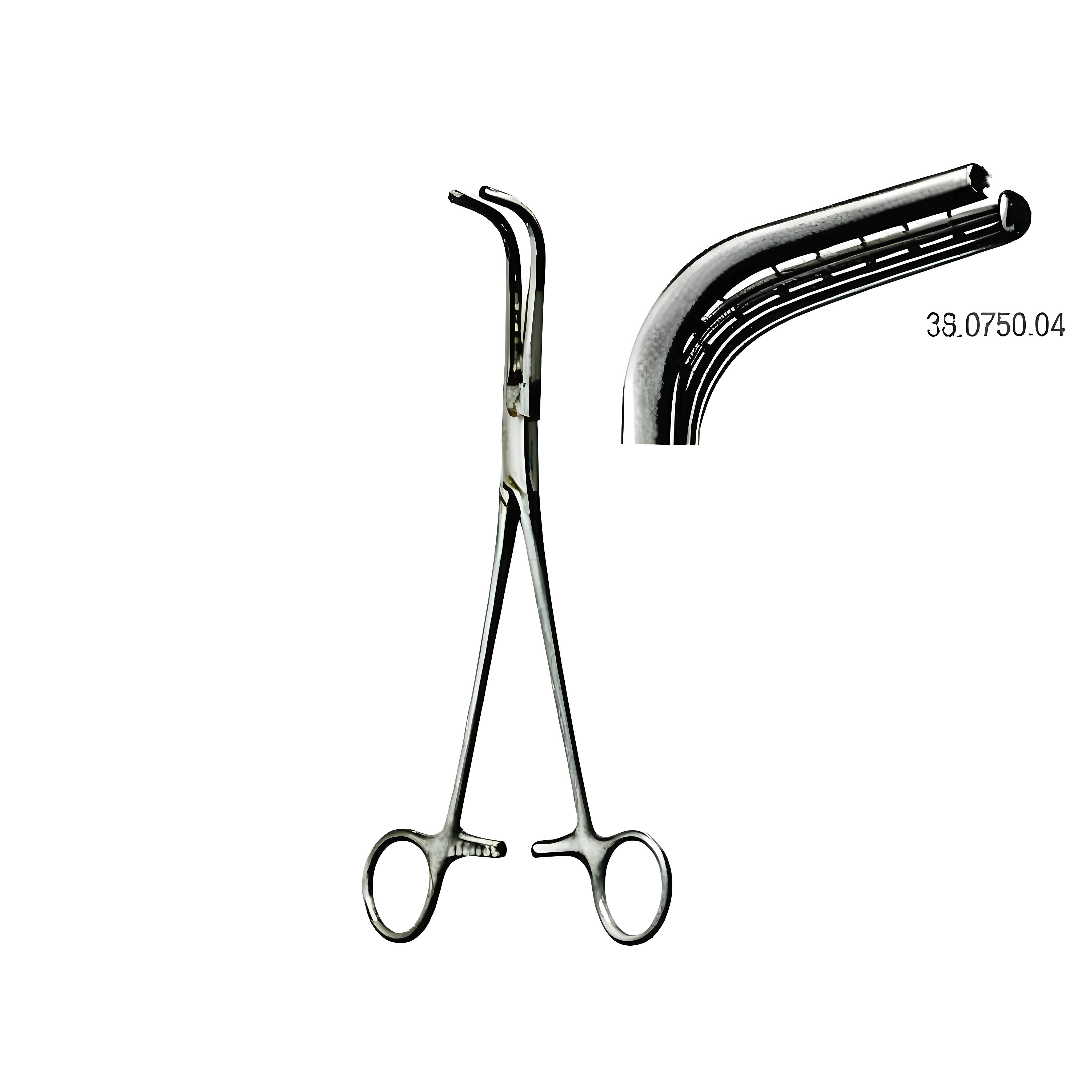Sarot Broncs Clamp Teeth Right 23cm