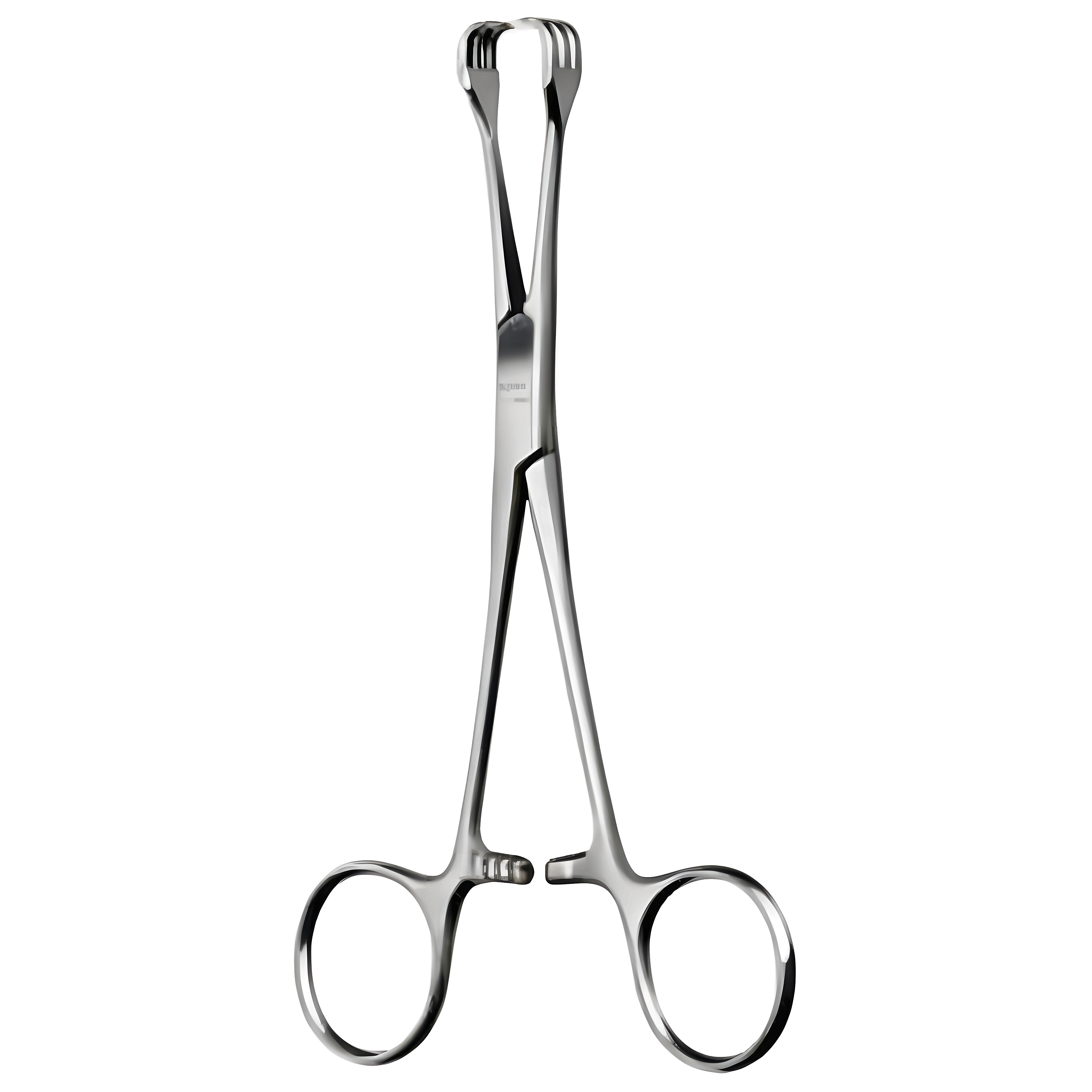 Lahey Goitre Seizing Fcps 20cm
