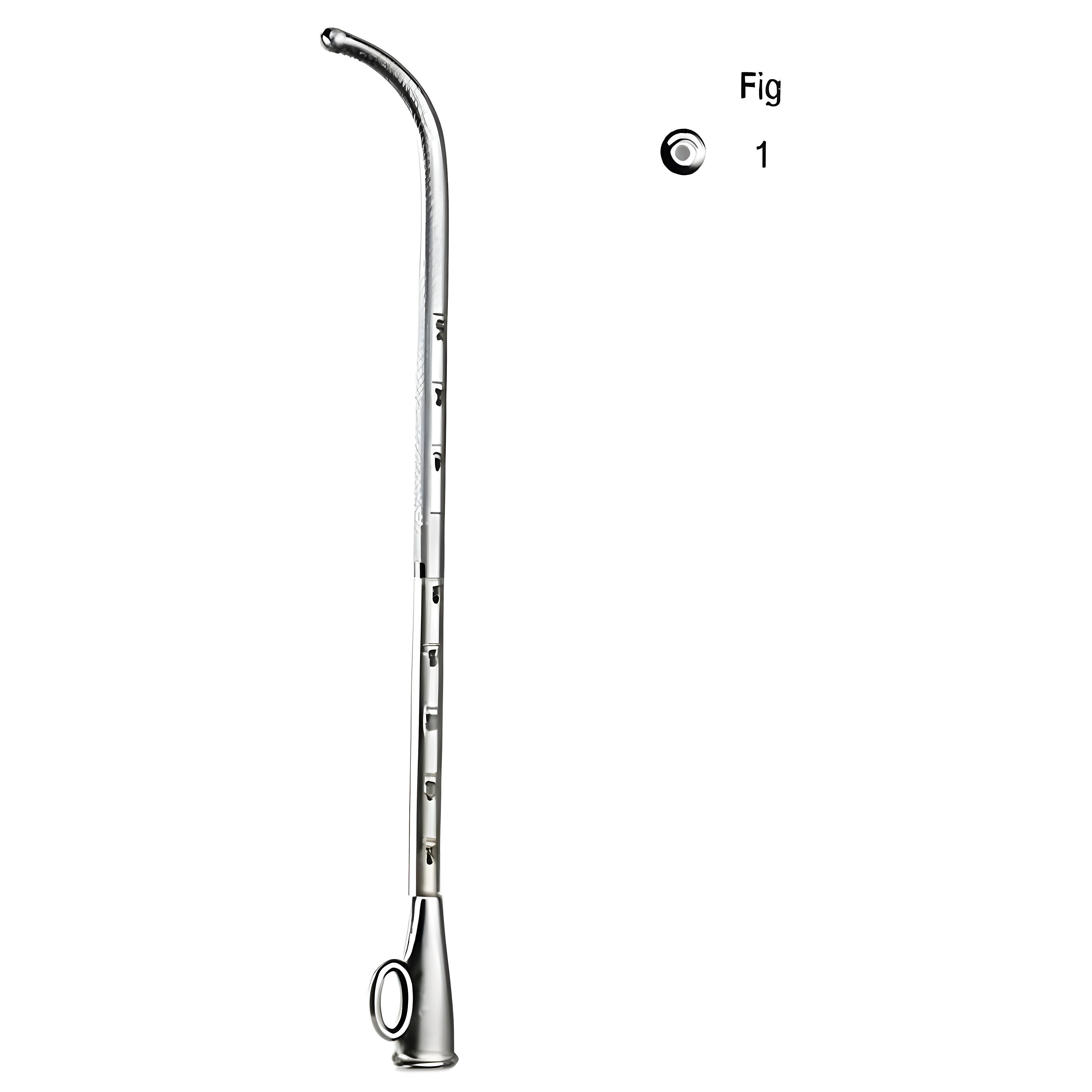 Troeltsch Ear Catheter Fig.1 SP