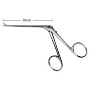 Fuller Introduction Fcps 8cm