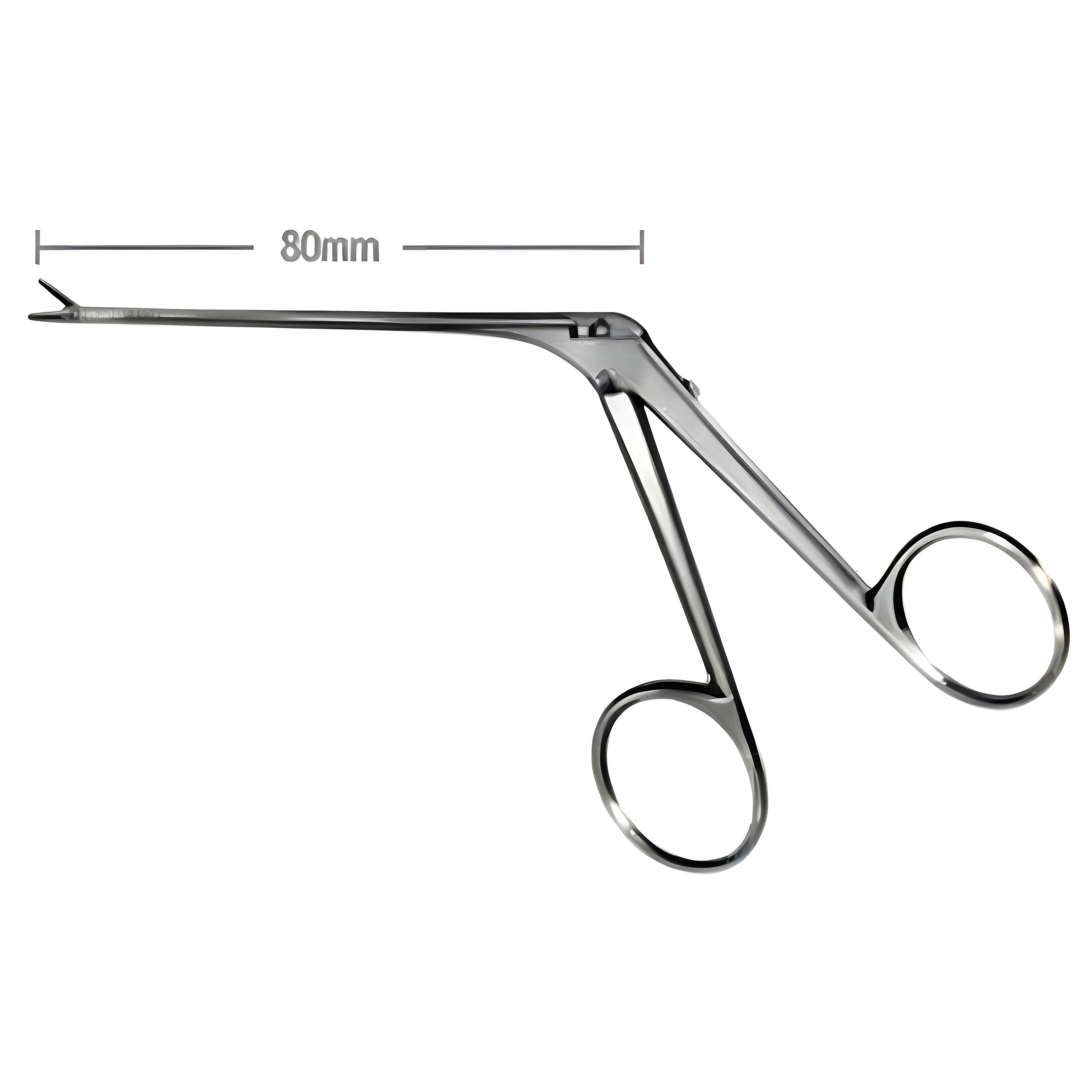 Fuller Introduction Fcps 8cm