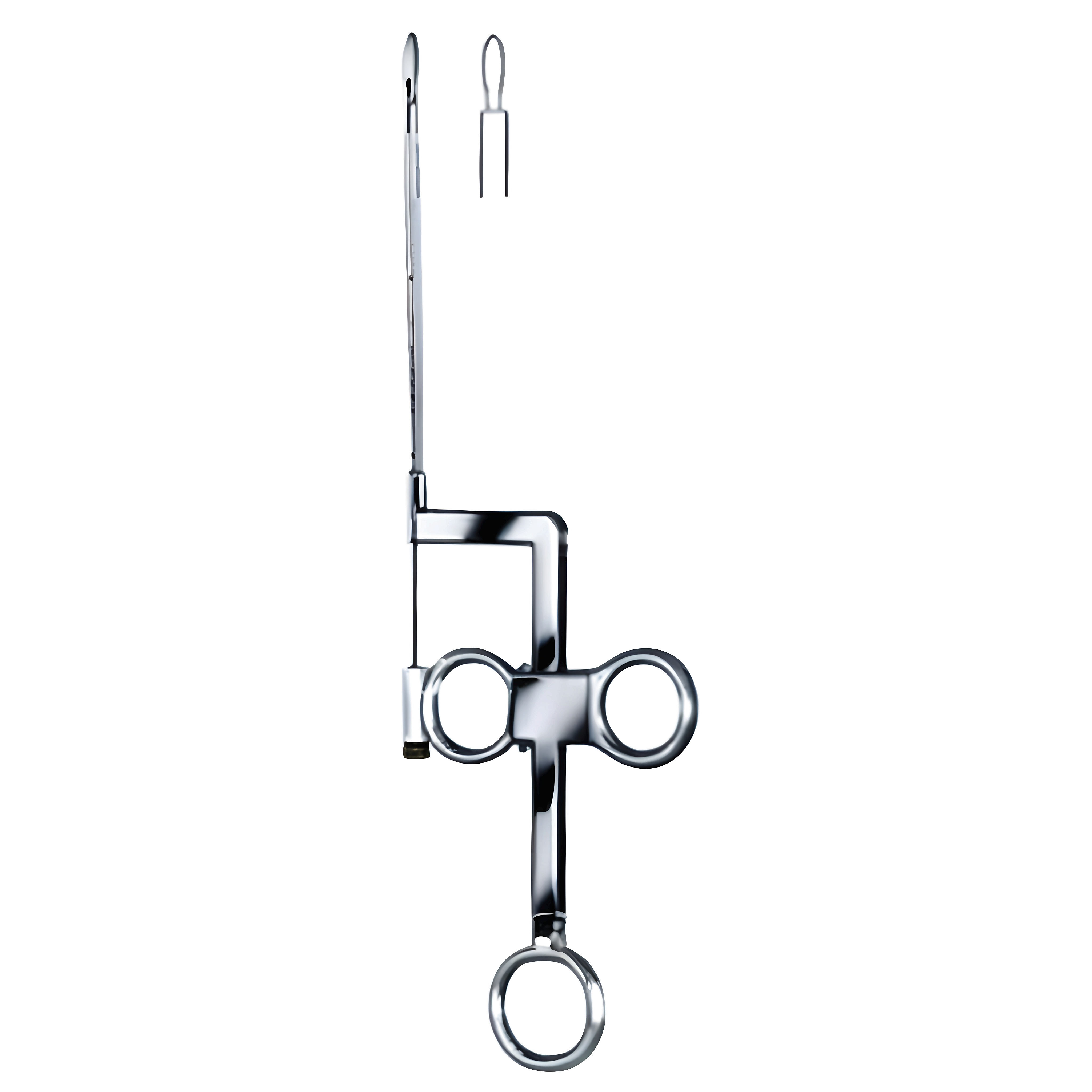 Lange-wilde Ear Polypus Snare 17cm
