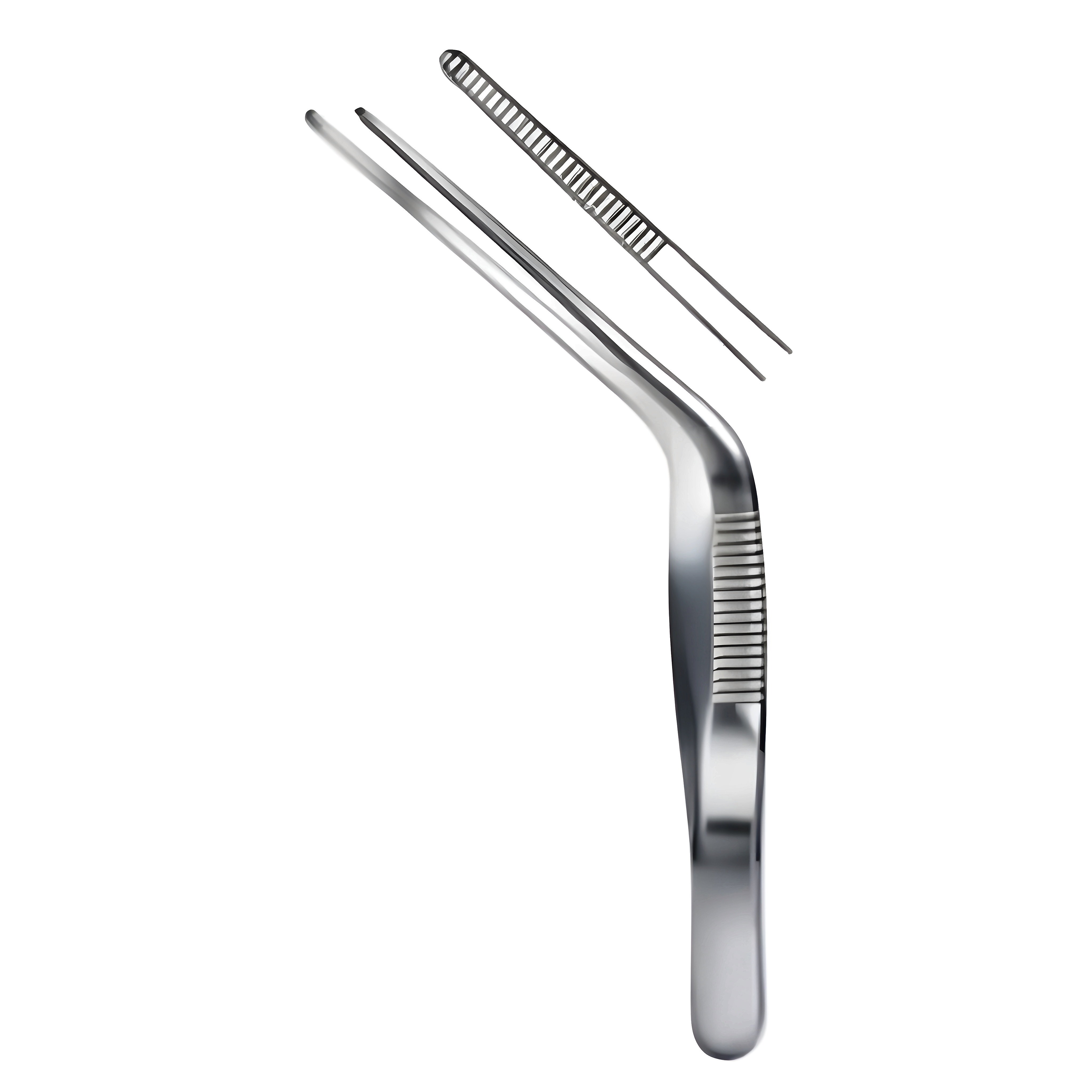 Troeltsch Wilde Ear Fcps 11cm
