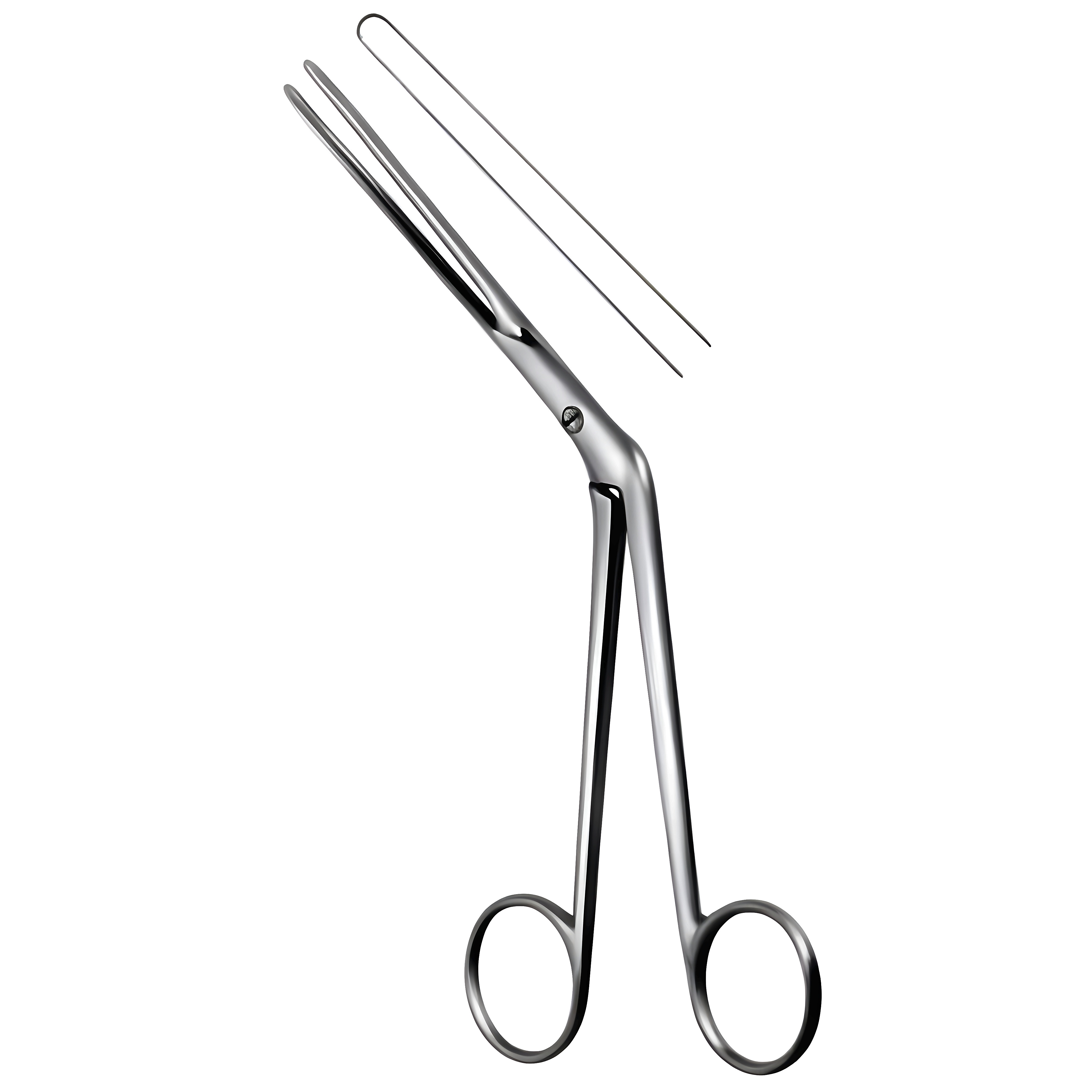 Lubet Barbon Nasal Fcps 20cm