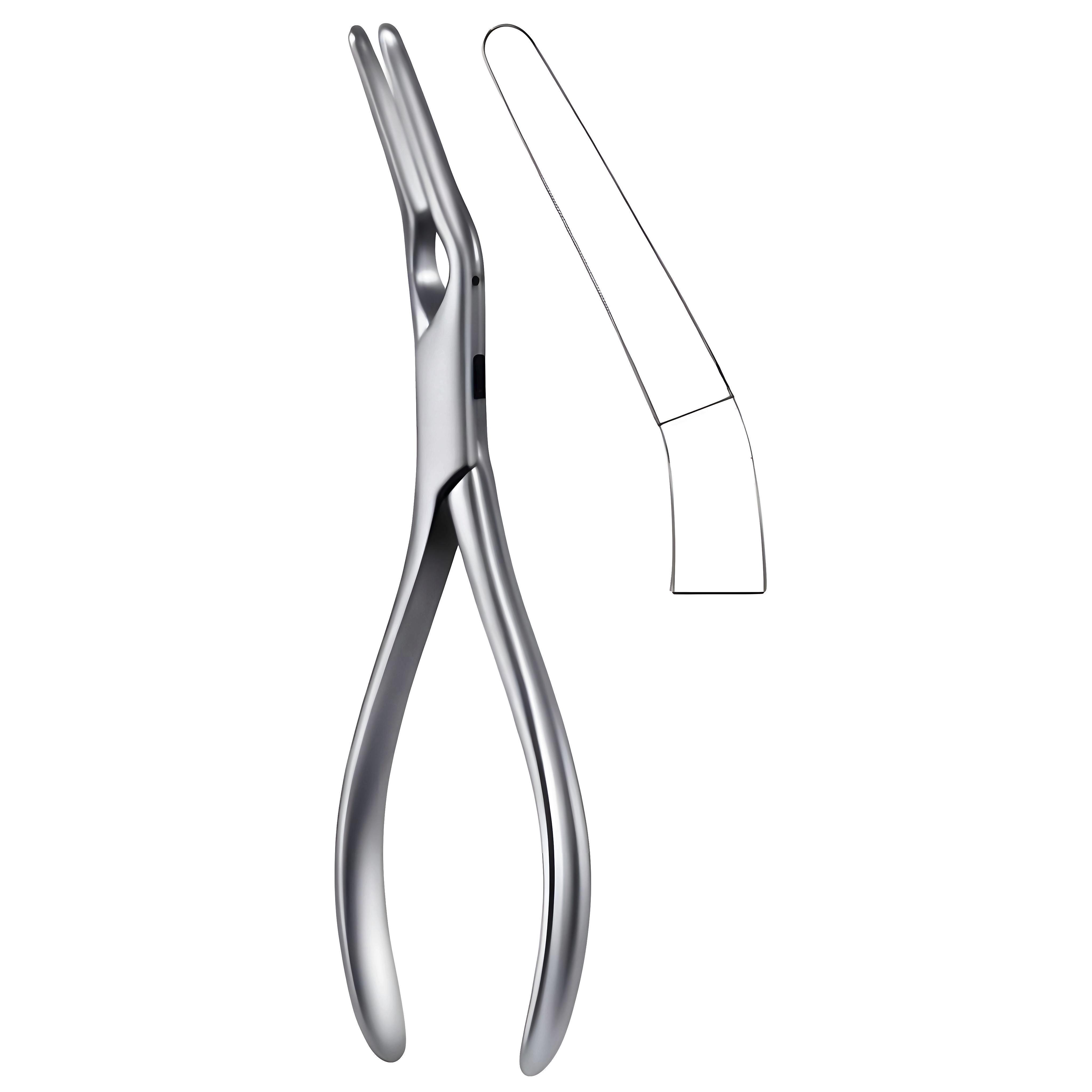 Asch Septum Fcps 23cm