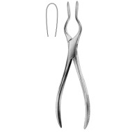 Cottle Walsham Septum Fcps 23cm