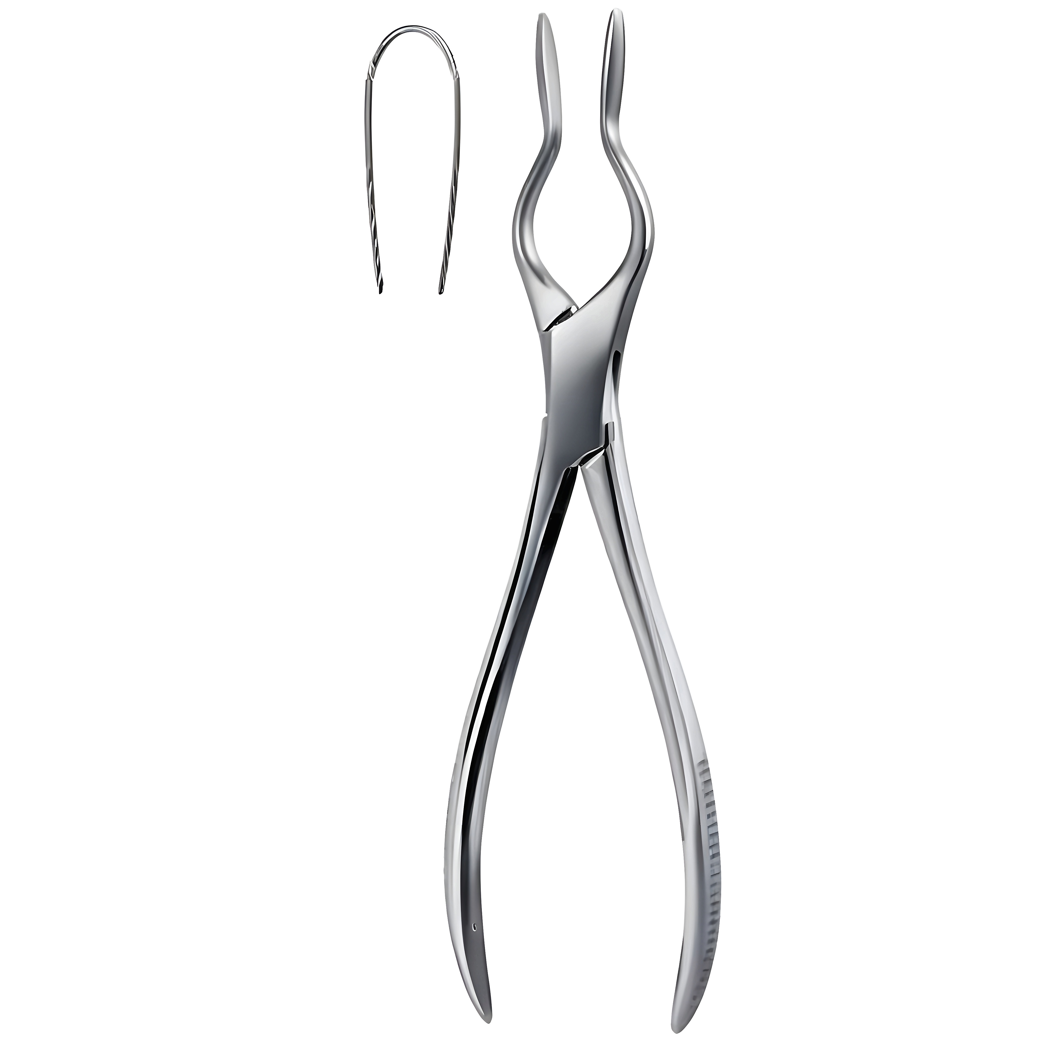 Cottle Walsham Septum Fcps 23cm
