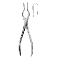 Cottle Walsham Septum Fcps left 23cm